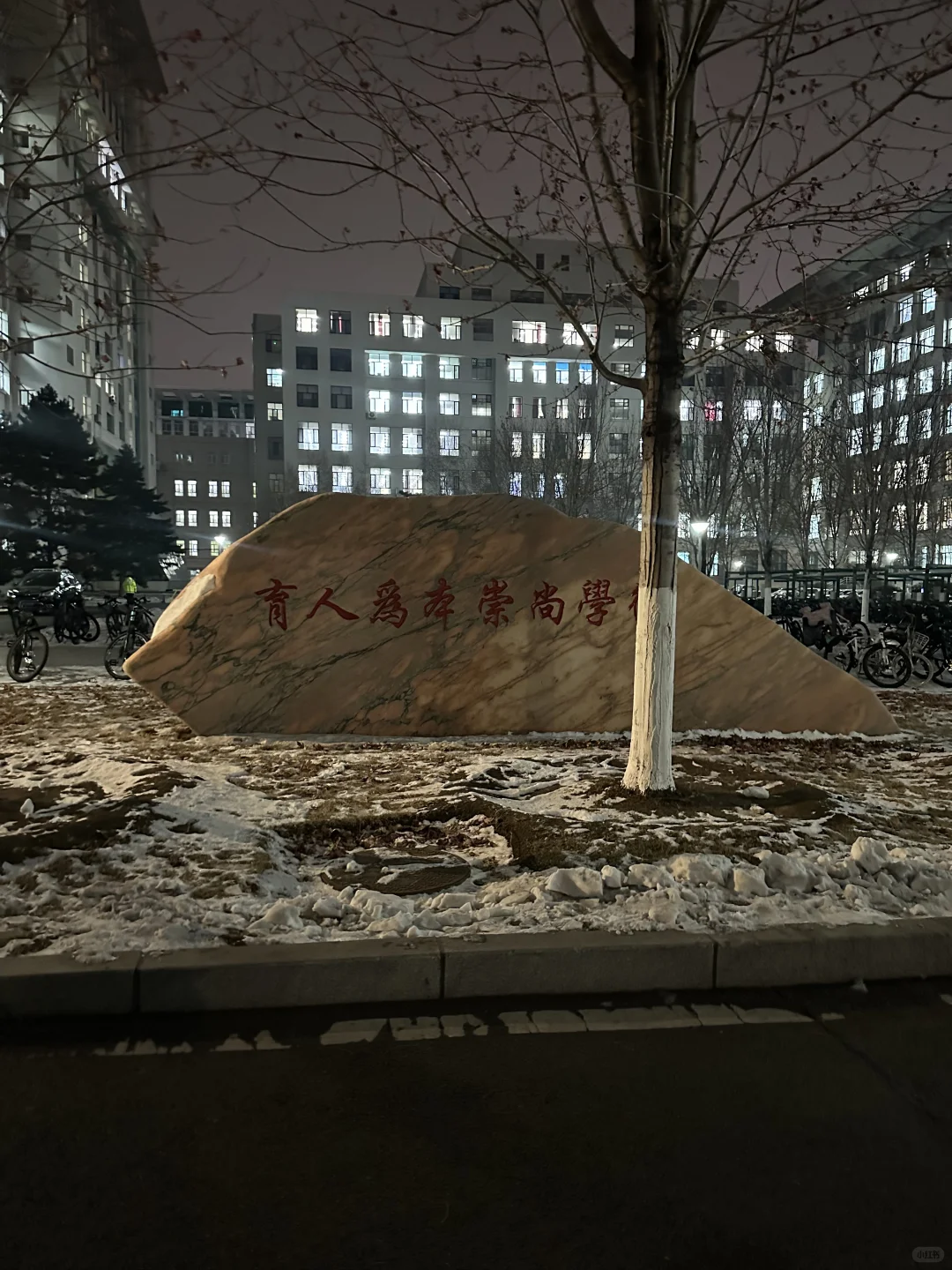 天！我发现哈工大的路灯会投校徽！?