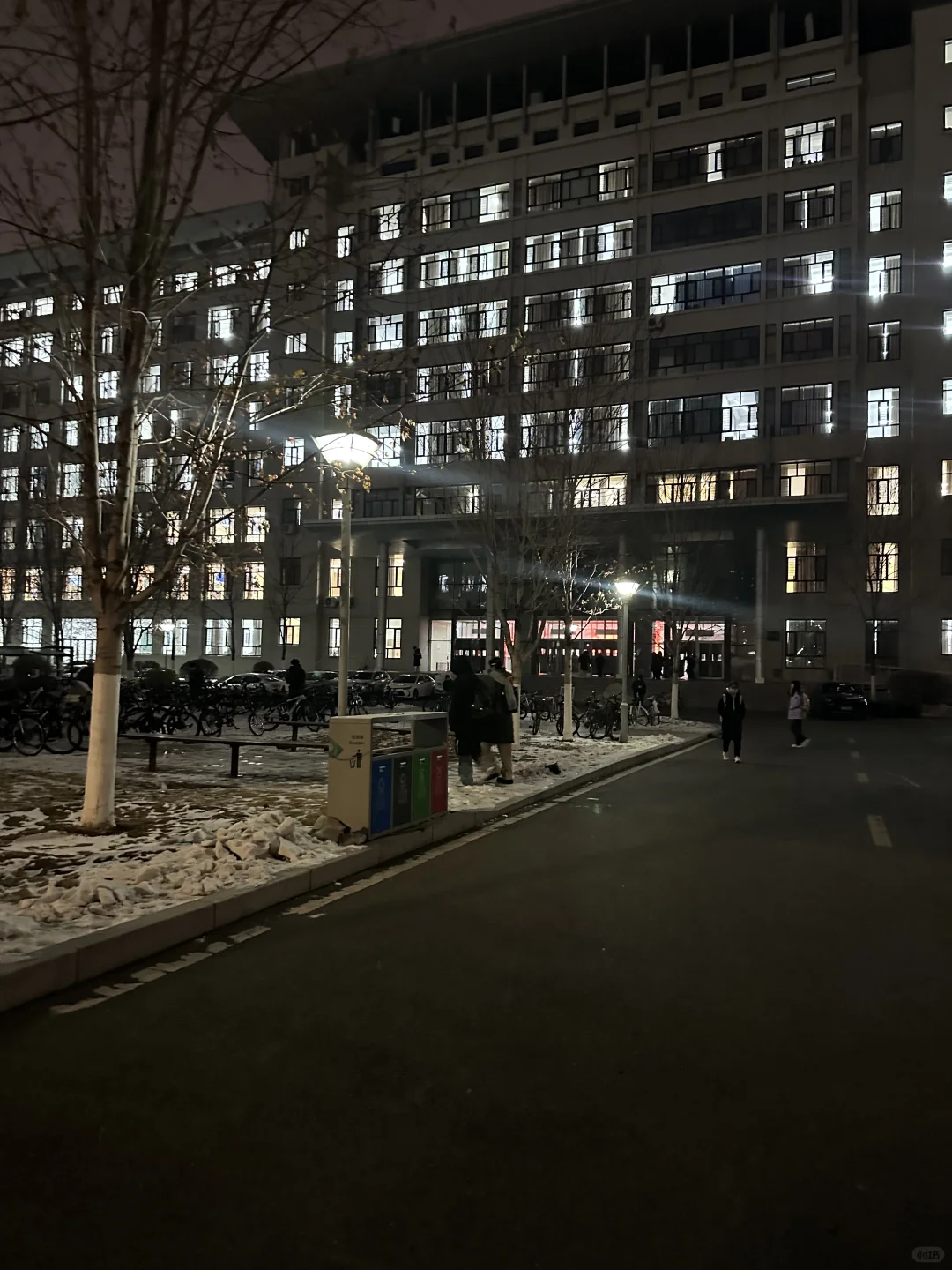 天！我发现哈工大的路灯会投校徽！?