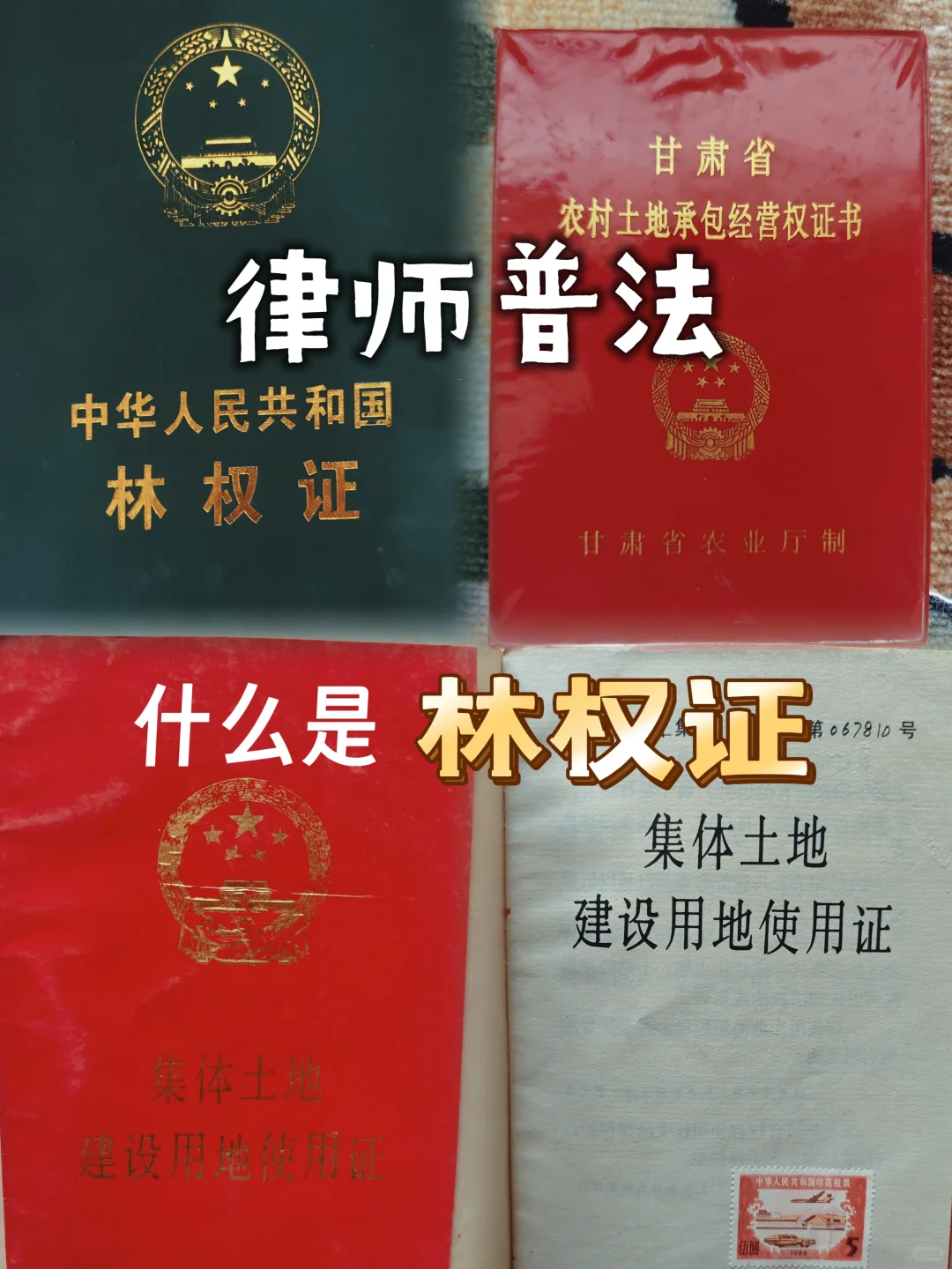 律师普法｜什么是林权证？