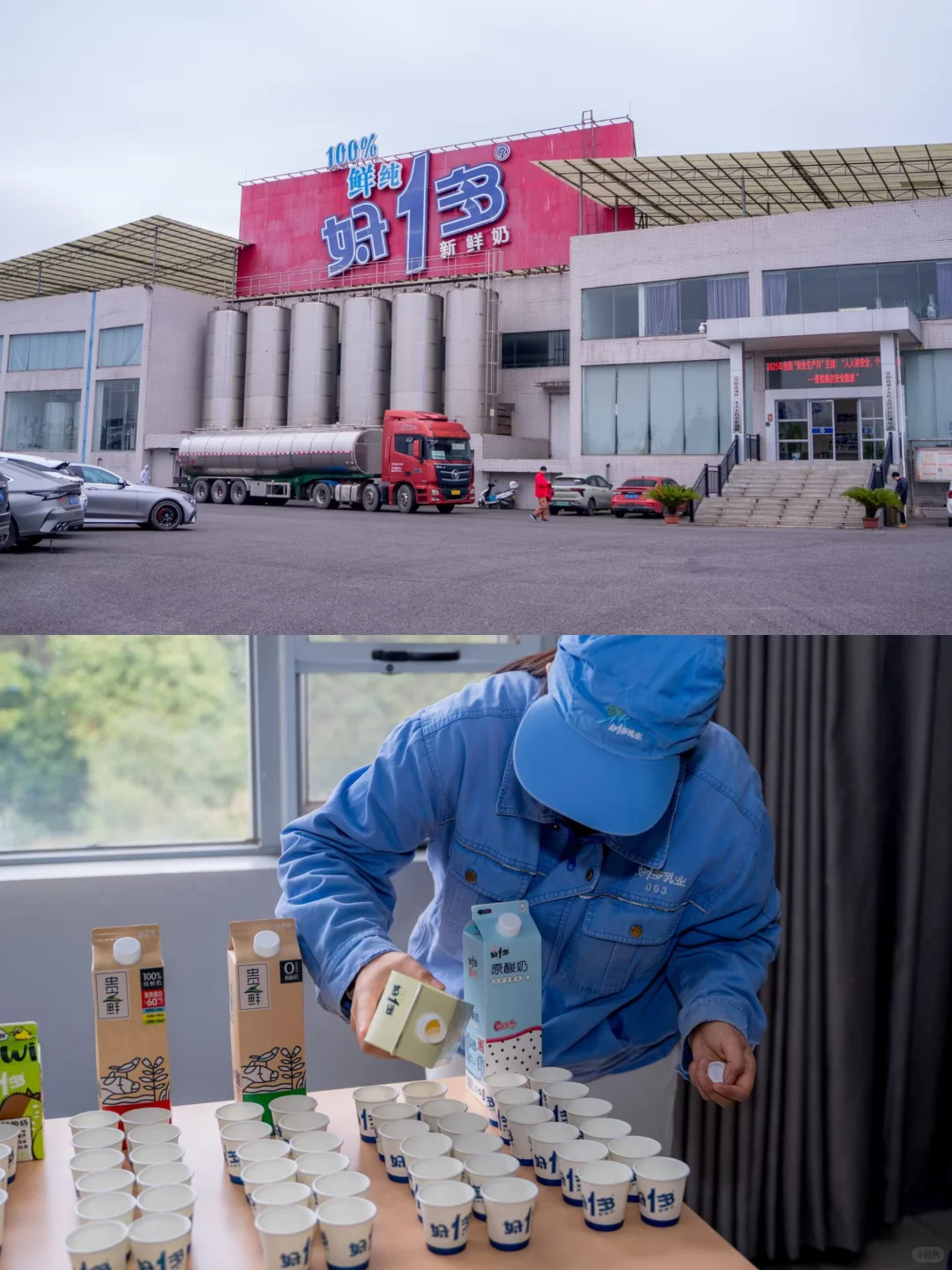 好一多牧场开放日！带娃探秘贵阳奶牛王国?