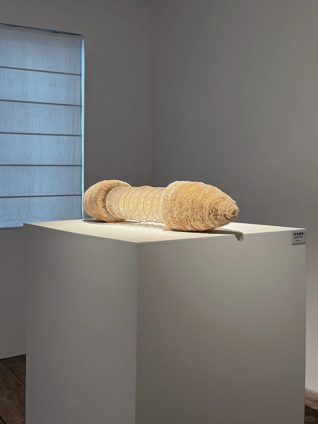 上海新展?《ShengDong》⏳