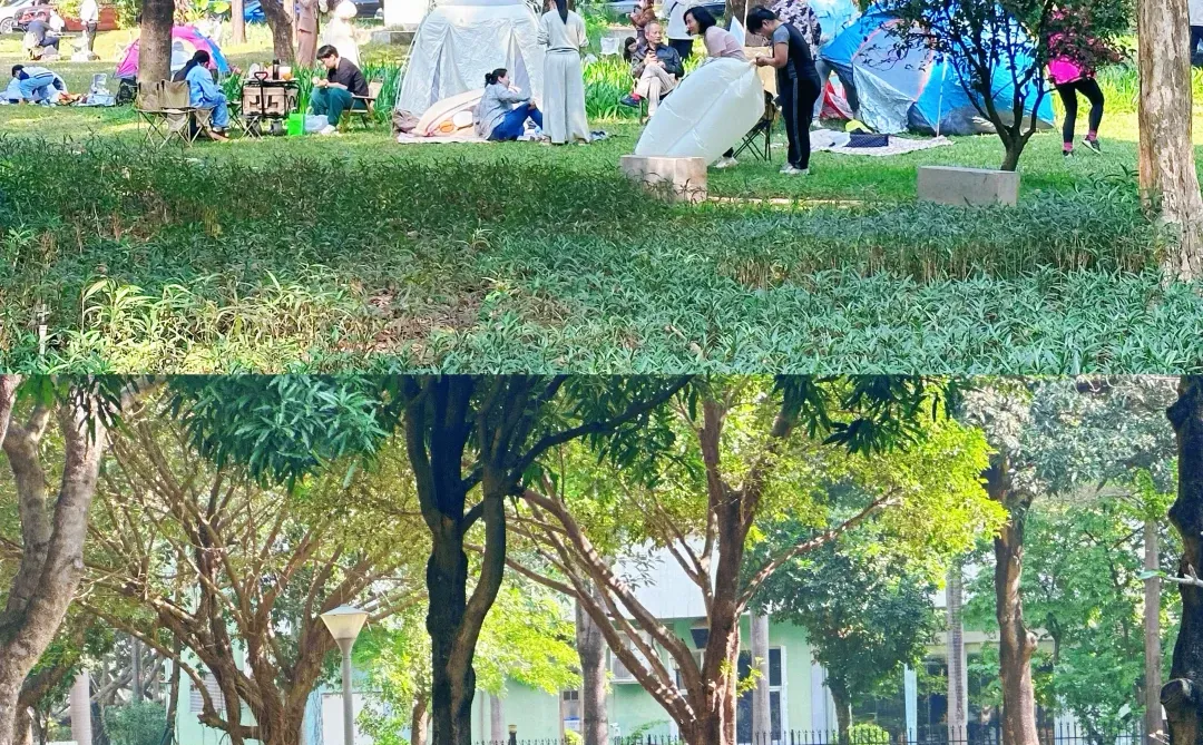 ?带宝宝去广州园博会 宏城公园路线版