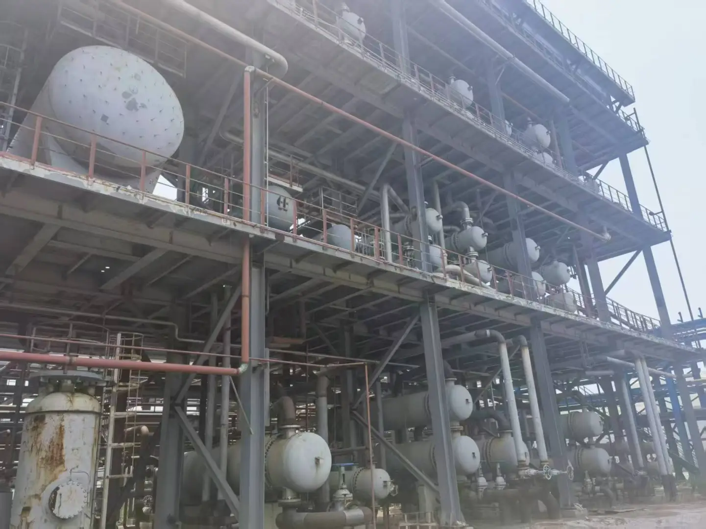 年年冲广交会，到底为什么？