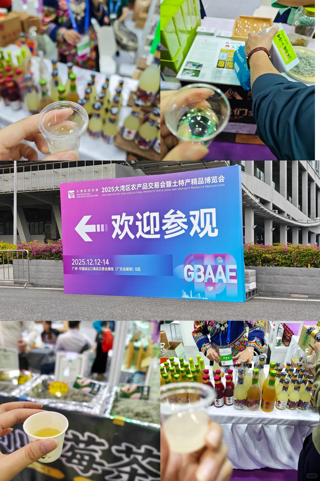 大湾区农产品交易会吃逛游玩