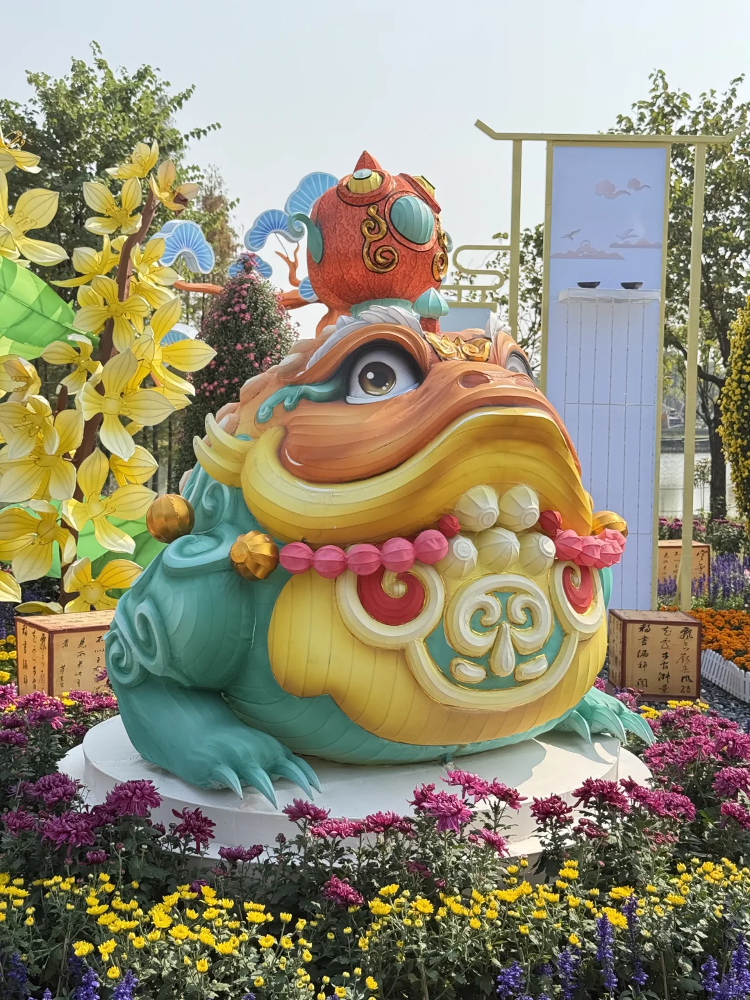 中山|珠海出发?小榄菊花展,太好看啦!