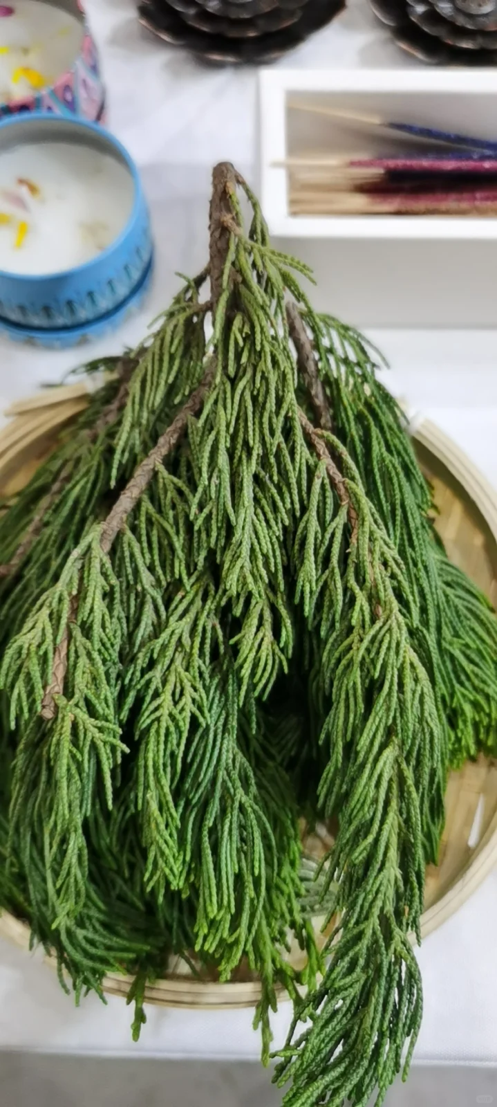 杨叔聊香—厦门疗愈展