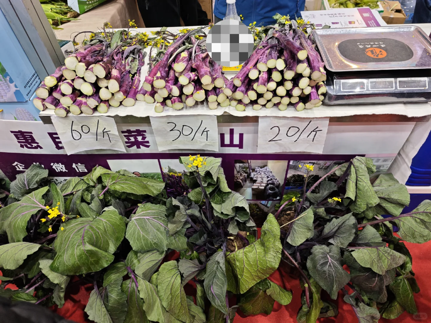 武汉武展食博会