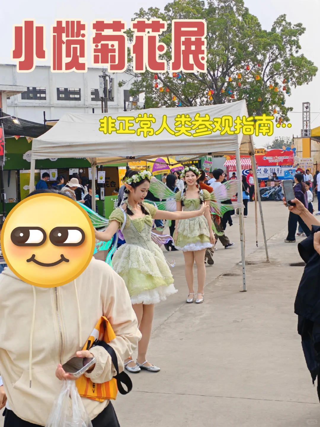 中山小榄菊花展 非正常人类参观指南…