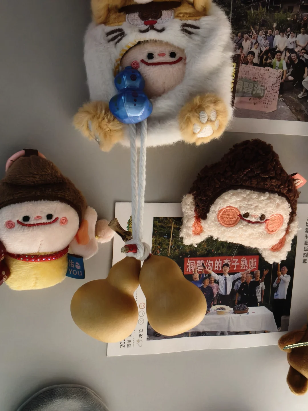 人和葫芦的命也差不多