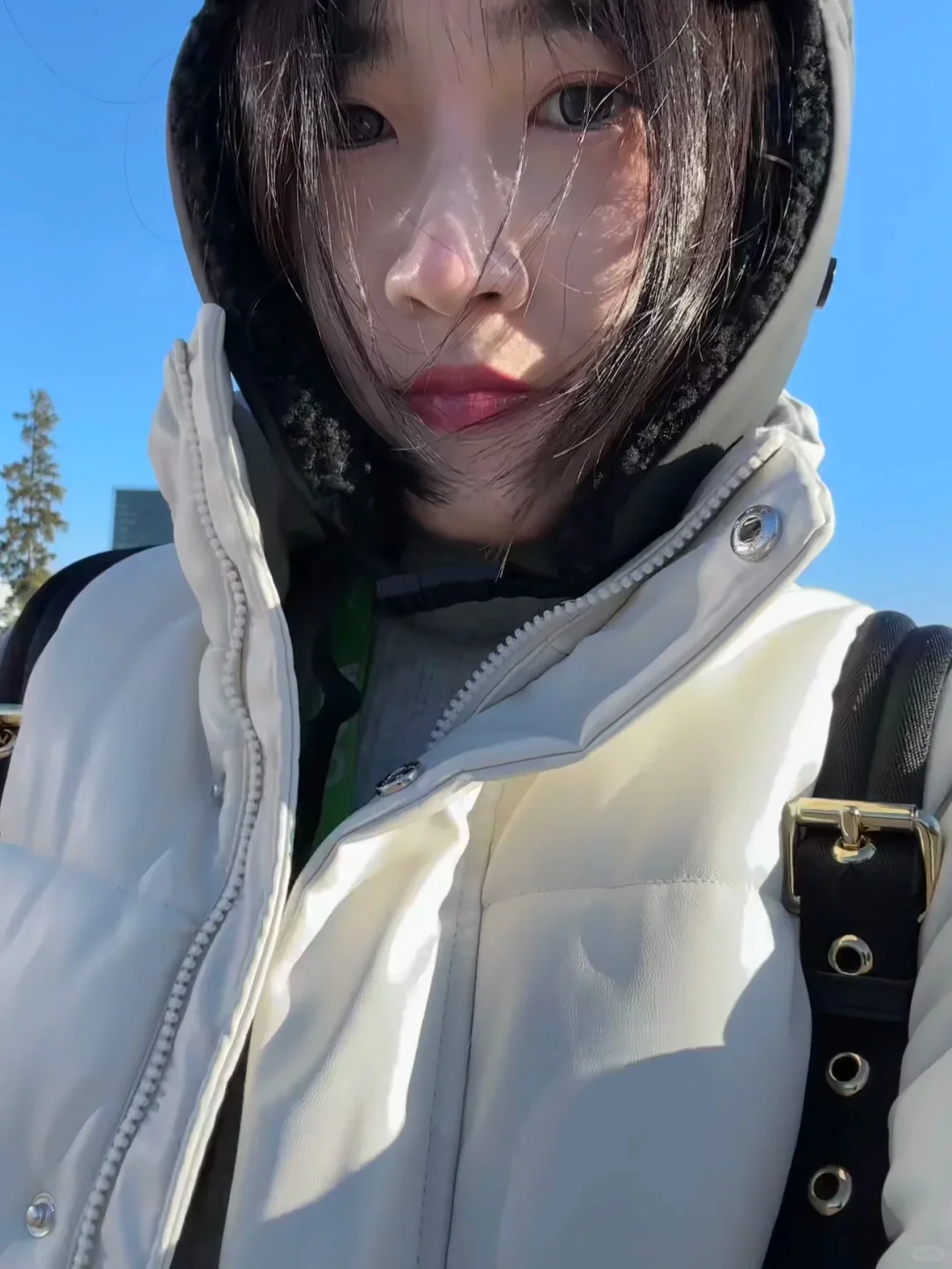 接展会翻译、礼仪、搭建、商务陪同