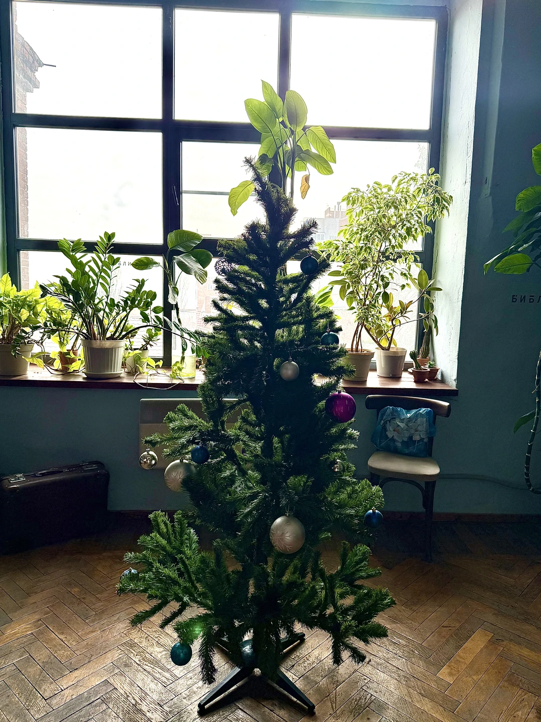 ??留学生的周末?怎么过？