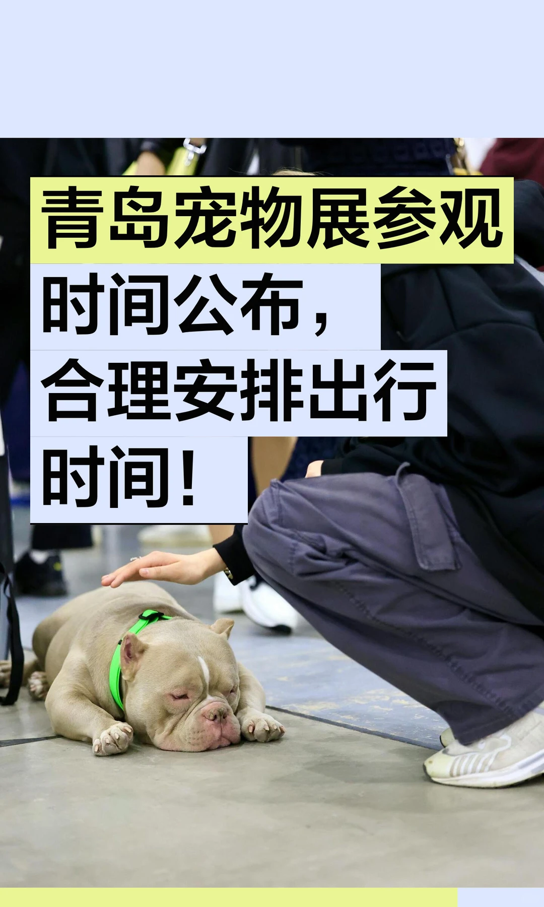 青岛宠物展参观时间公布，合理安排出行时间！
