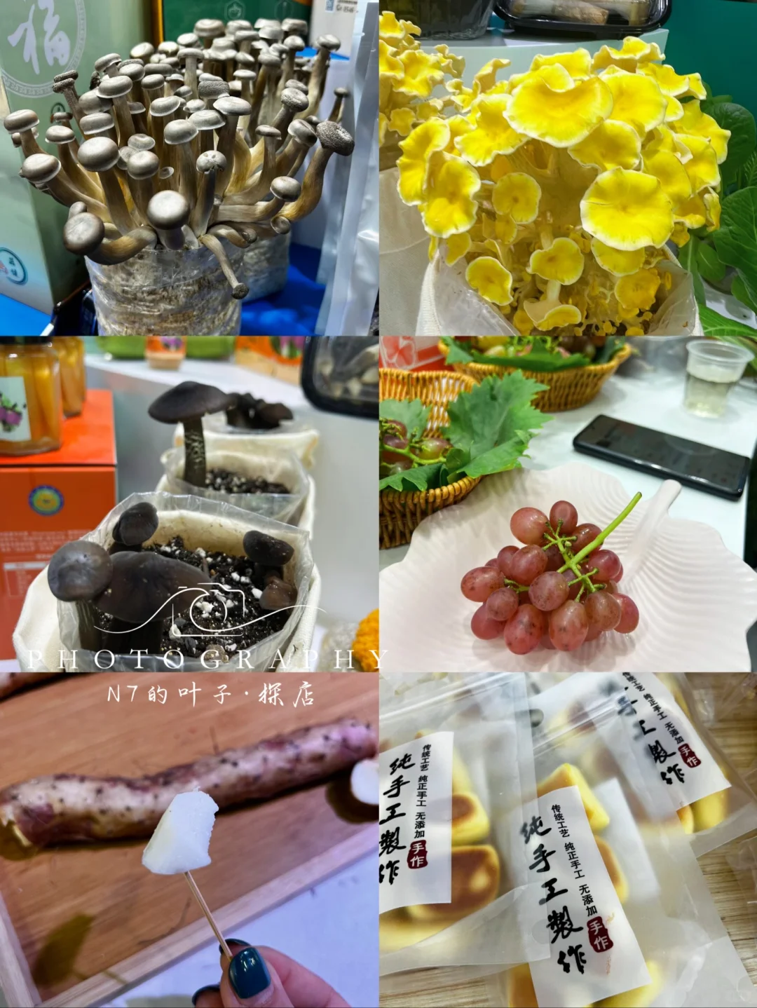 ?农展馆全国优质农产品展销来了！就四天