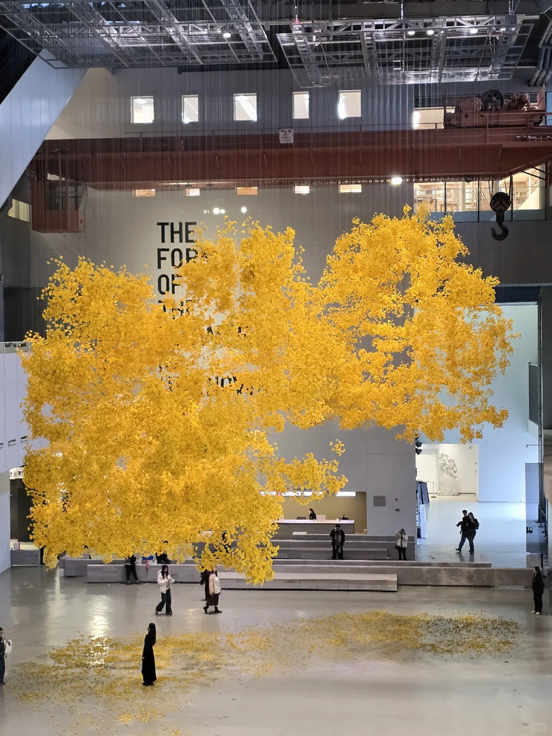 上海双年展｜“花儿听到蜜蜂了吗？”