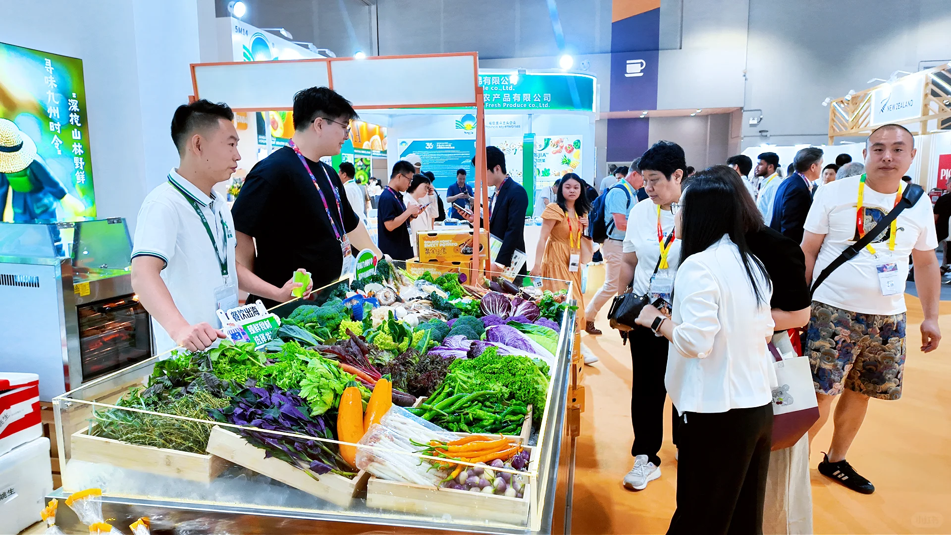 招展势头强劲，26年亚洲果蔬展有望再破纪录