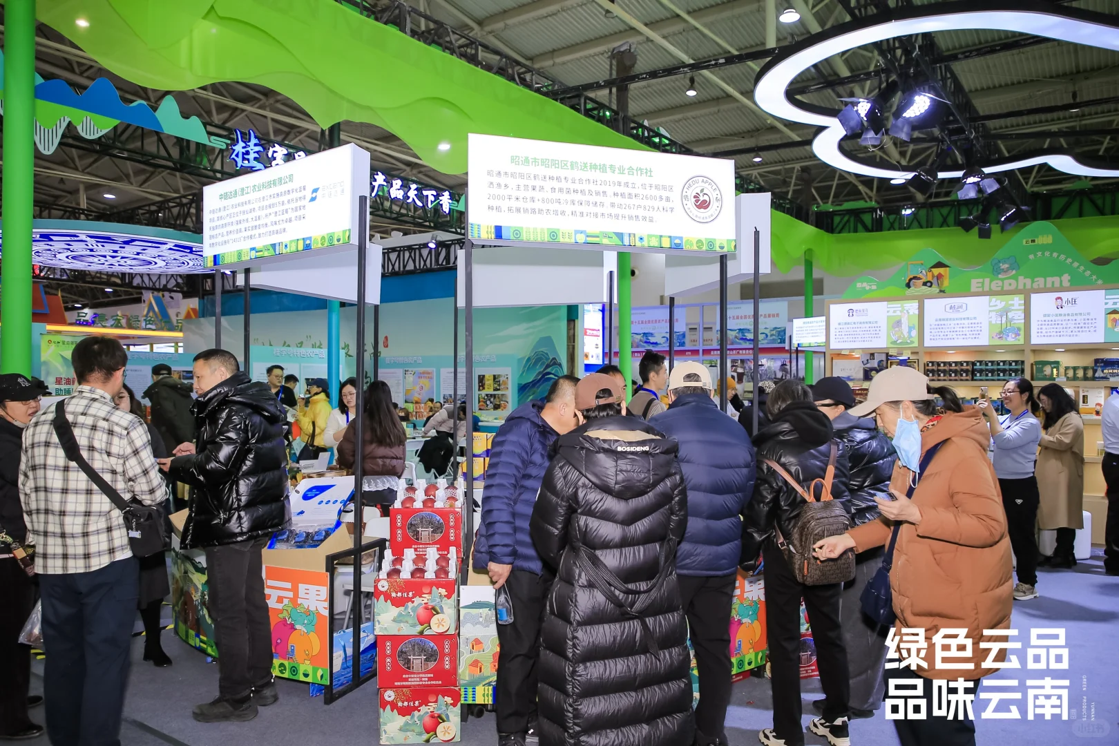 “绿色云品”北京展示推介活动火热进行中！