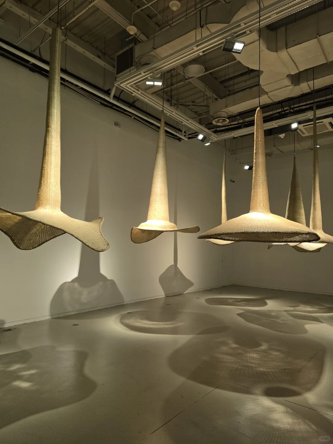 上海双年展｜“花儿听到蜜蜂了吗？”