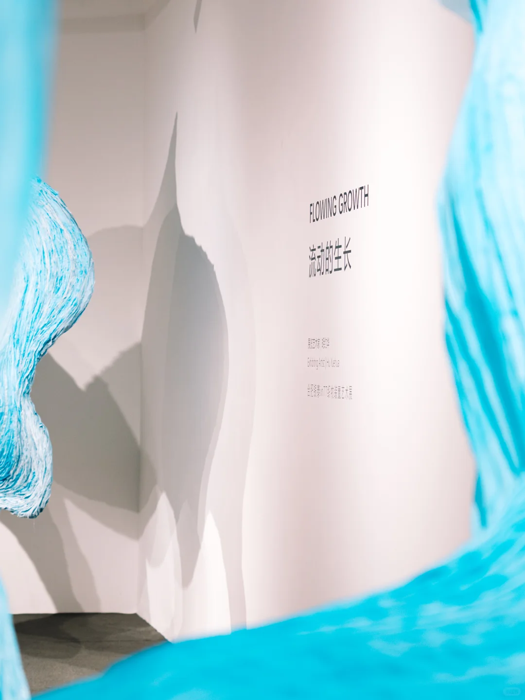 合肥看展｜in77 周年庆现「流动生长」织物艺术