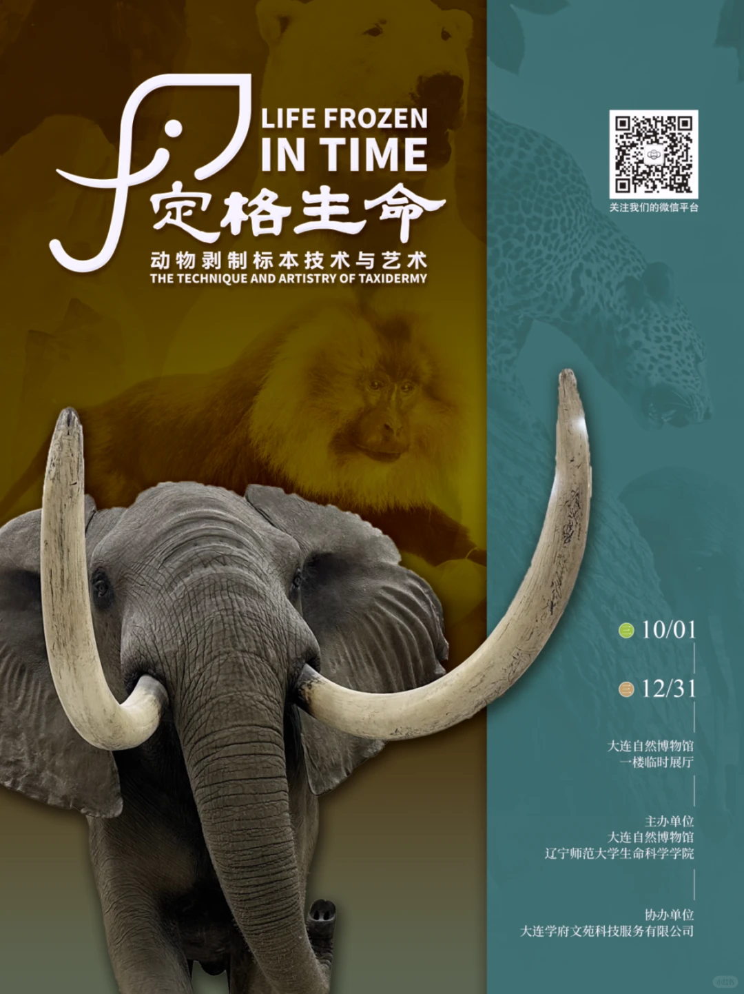 ?12月大连这波新展?够你拍到2026!