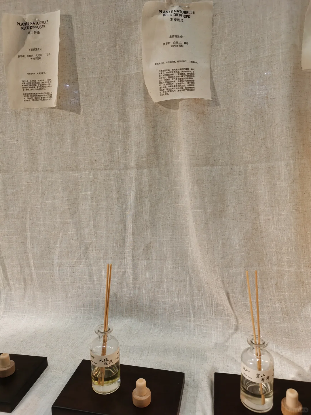 杨叔聊香—厦门疗愈展