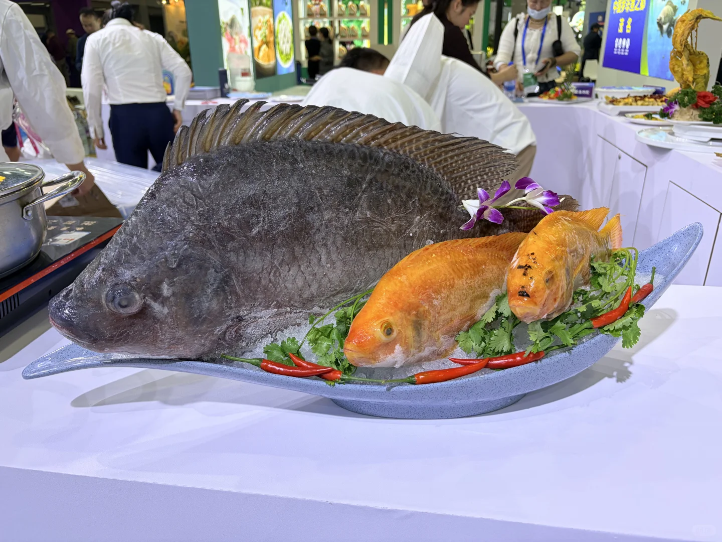 2025年大湾区农产品交易会|土特产博览会