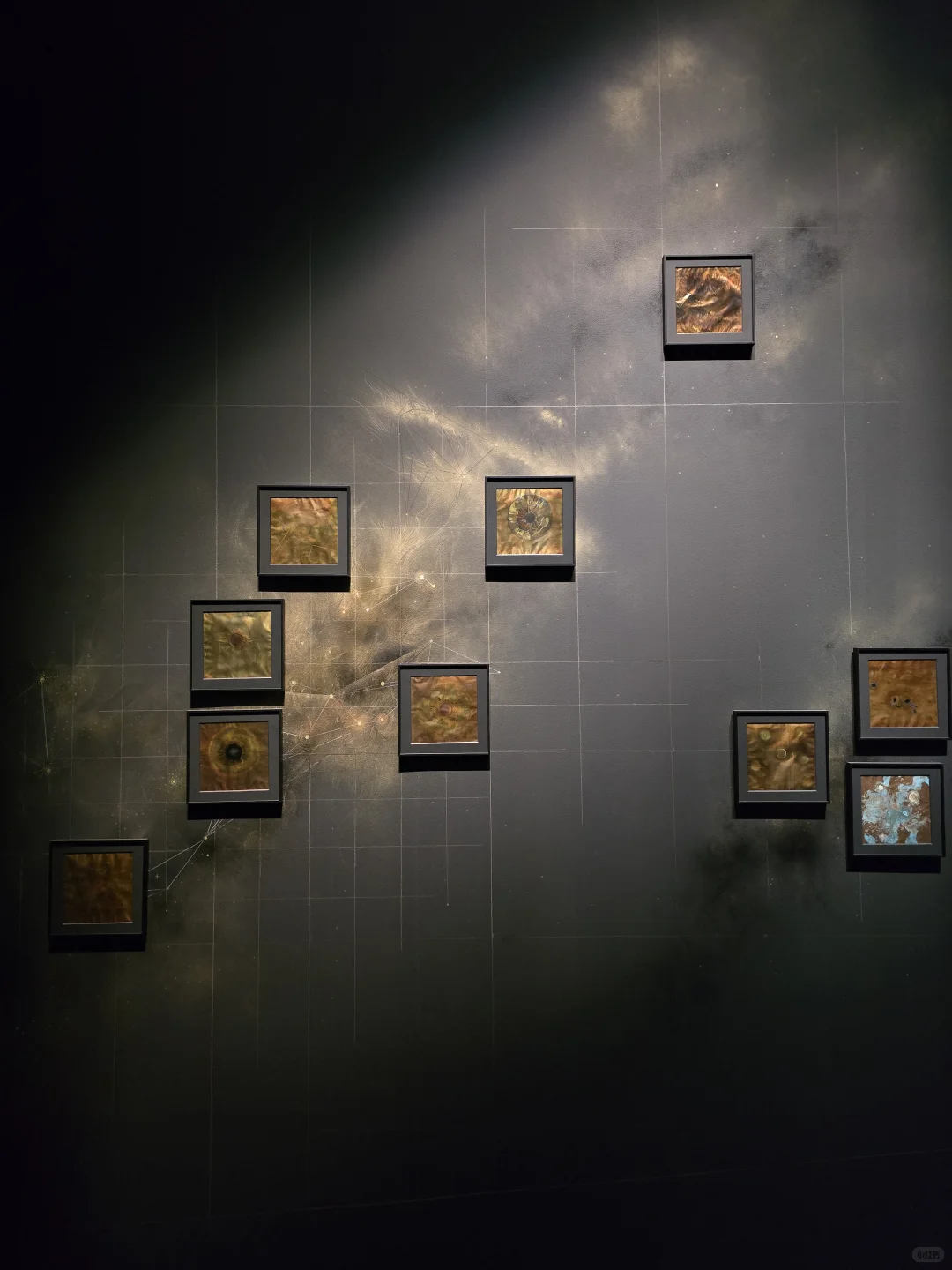 上海双年展｜“花儿听到蜜蜂了吗？”