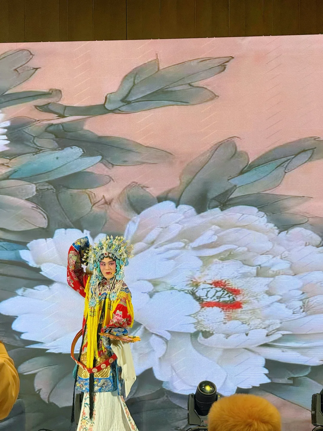 安徽有好戏！合肥喊福州宝子来赴约✨