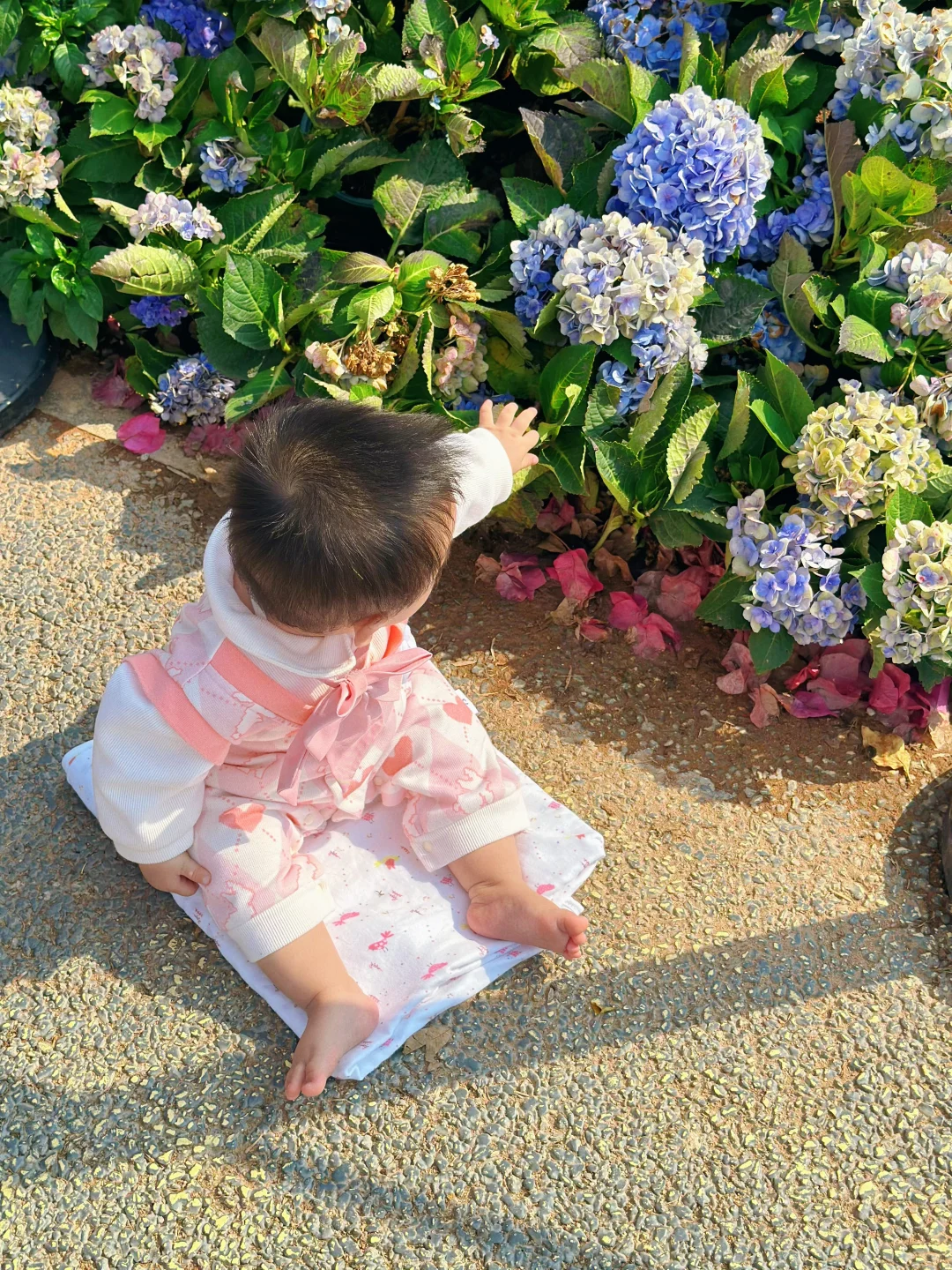 ?带宝宝去广州园博会 宏城公园路线版