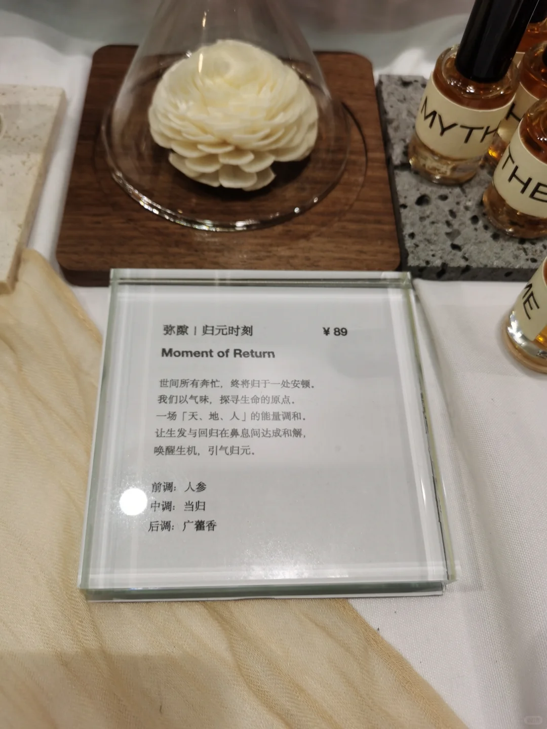 杨叔聊香—厦门疗愈展