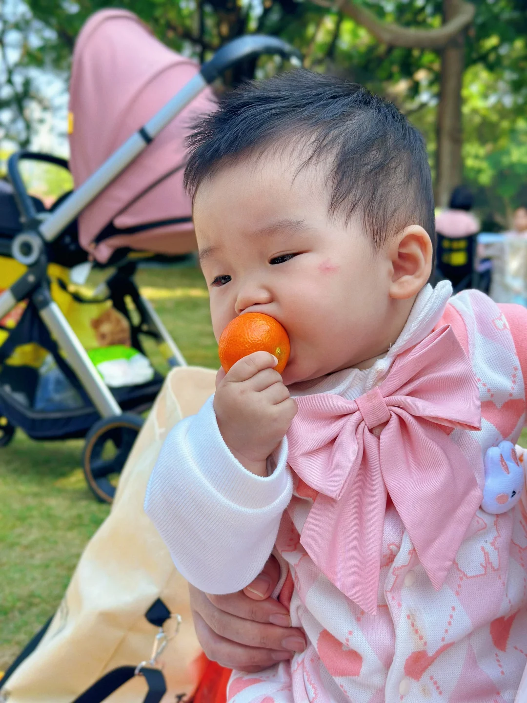 ?带宝宝去广州园博会 宏城公园路线版