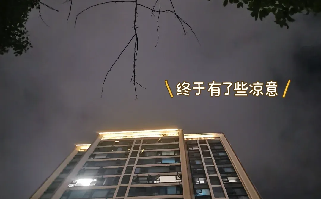 94上班+跨境 | 女生的最大贵人是独立的自己