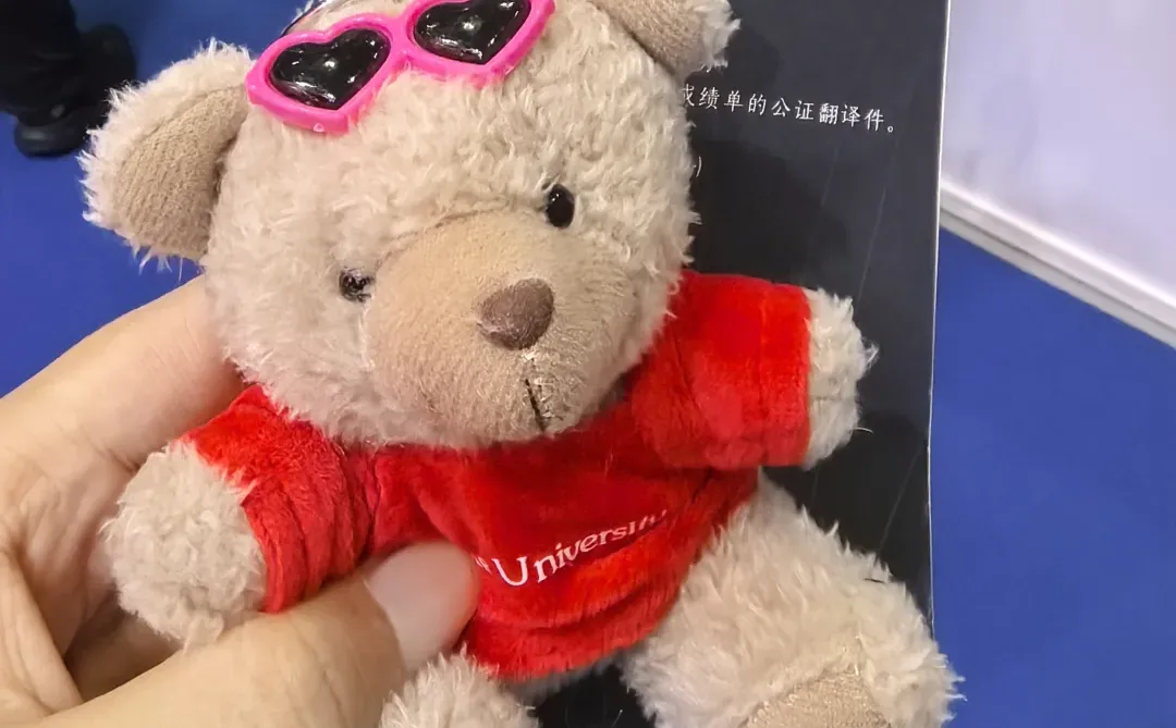 打卡2025年中国国际教育展