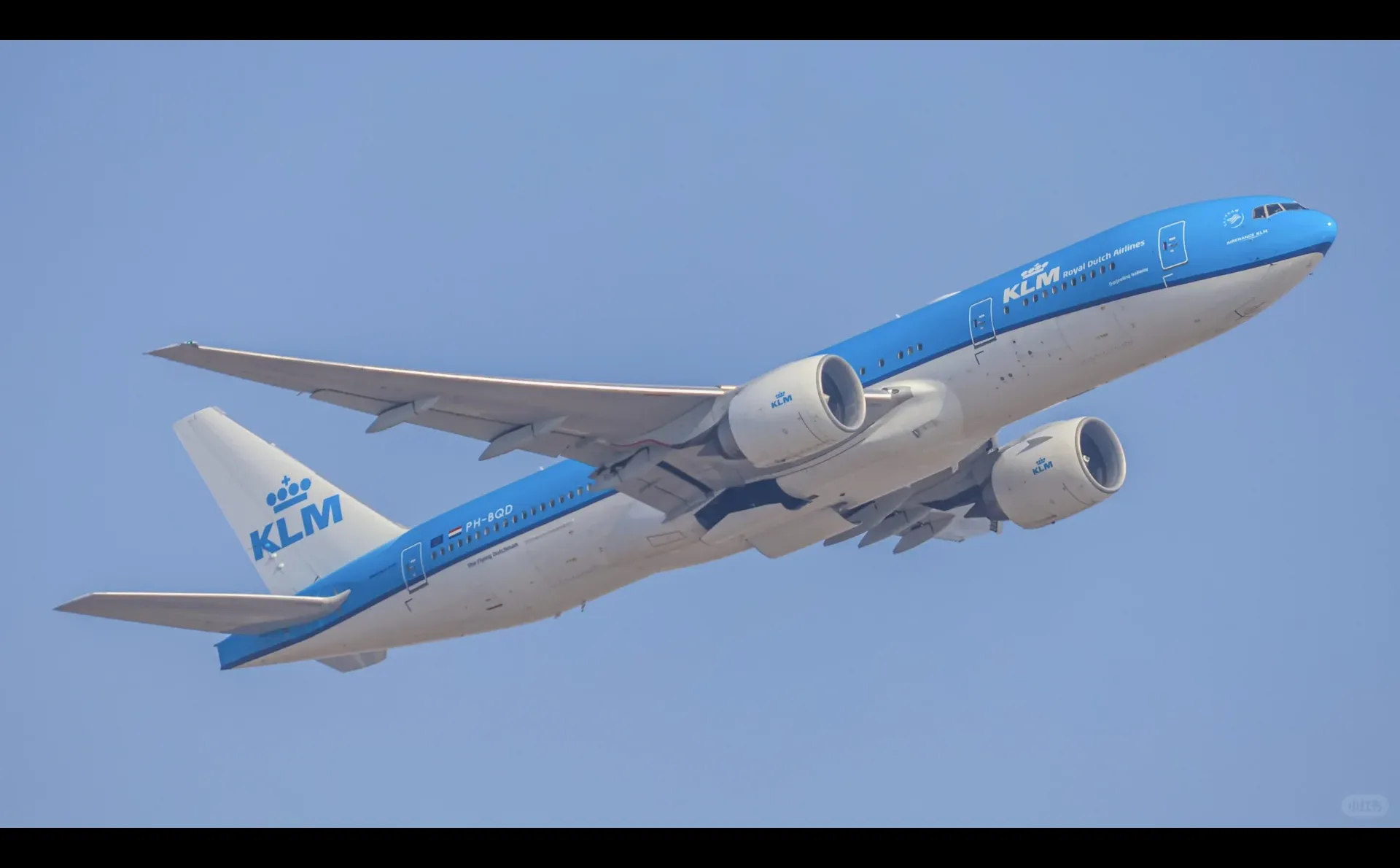 拍拉起给我拍爽了