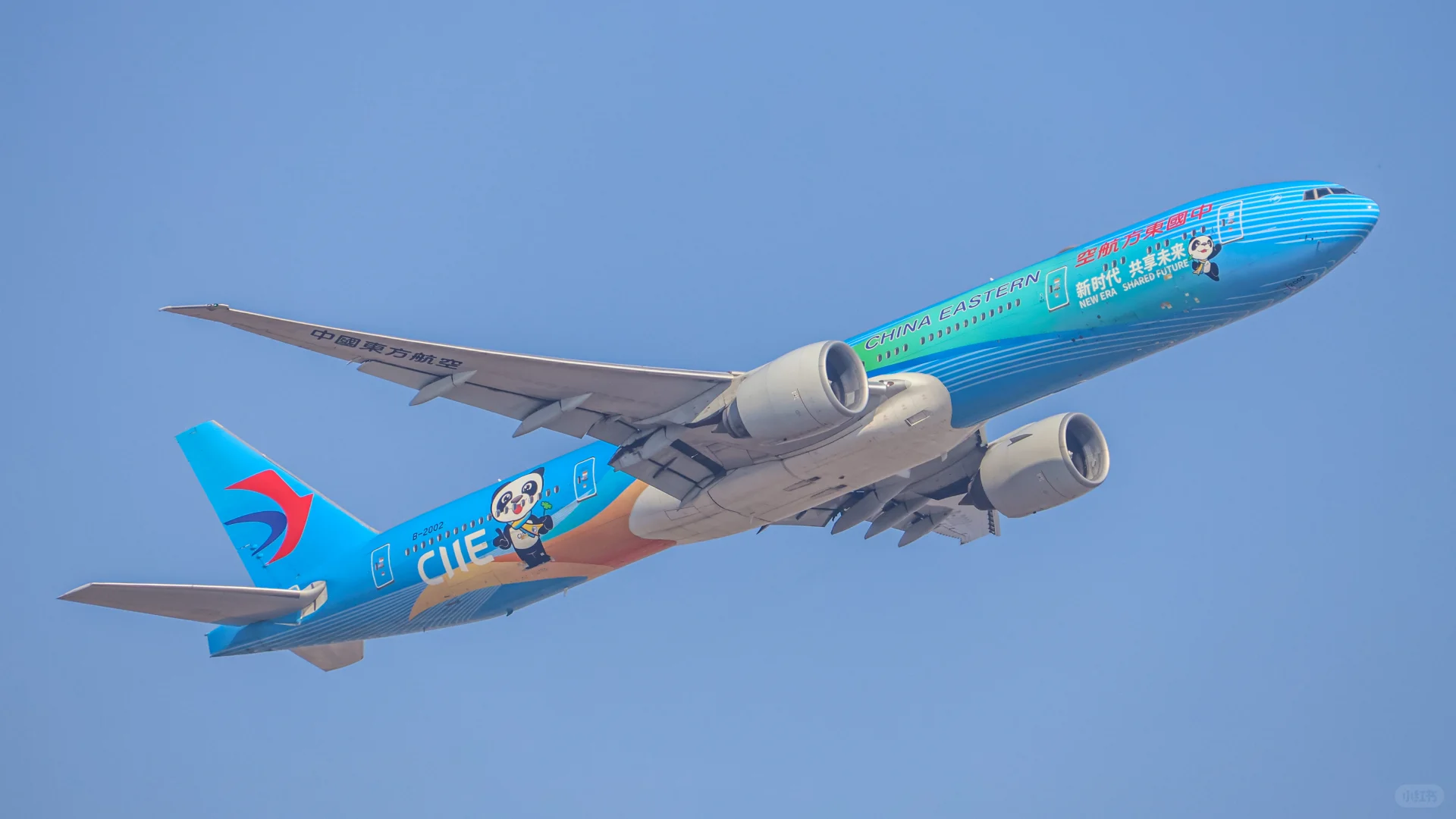 拍拉起给我拍爽了