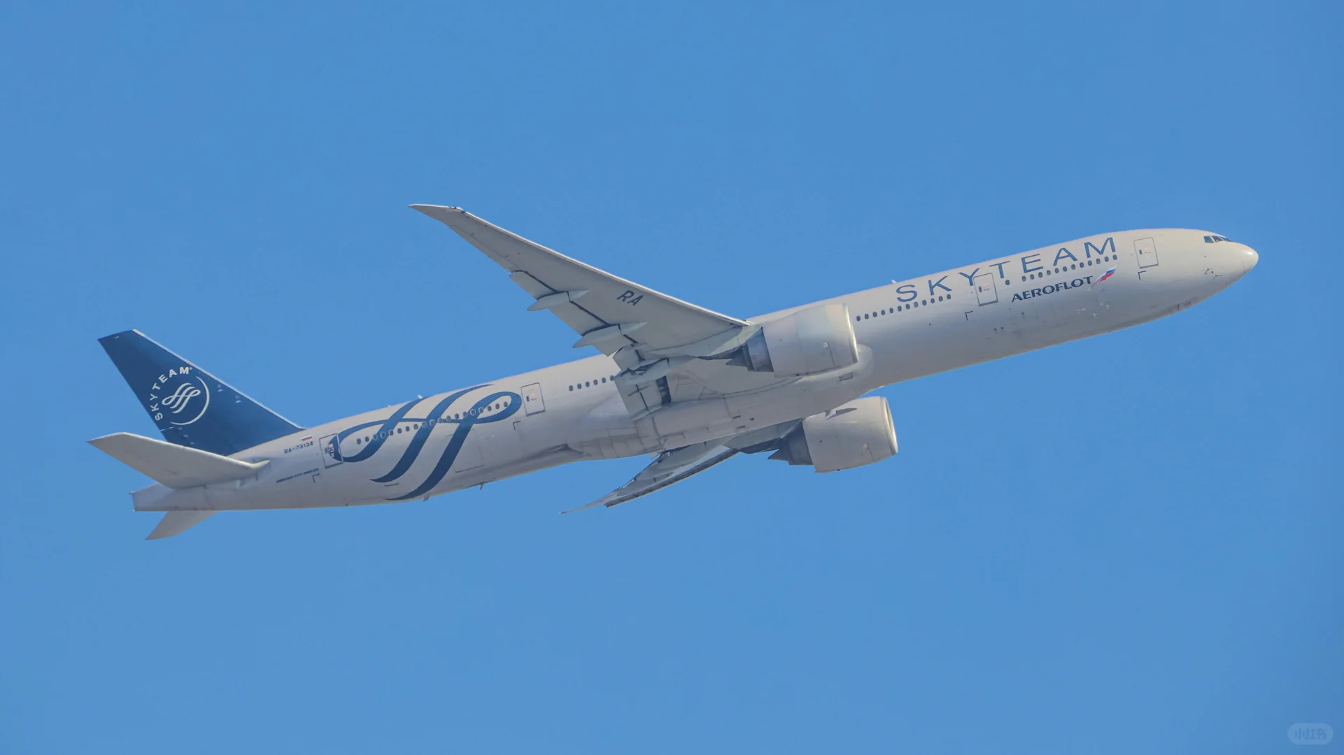 拍拉起给我拍爽了