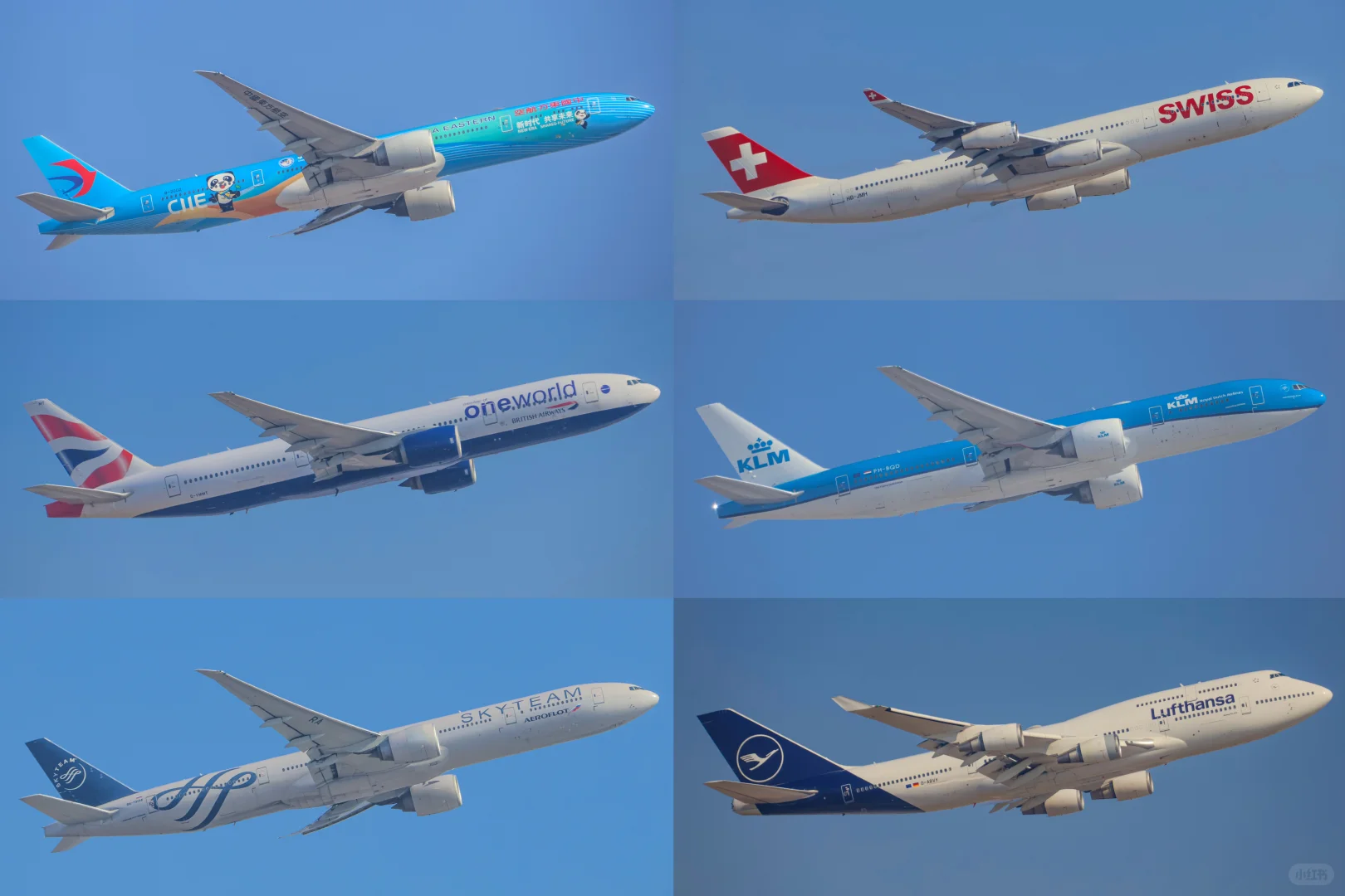 拍拉起给我拍爽了