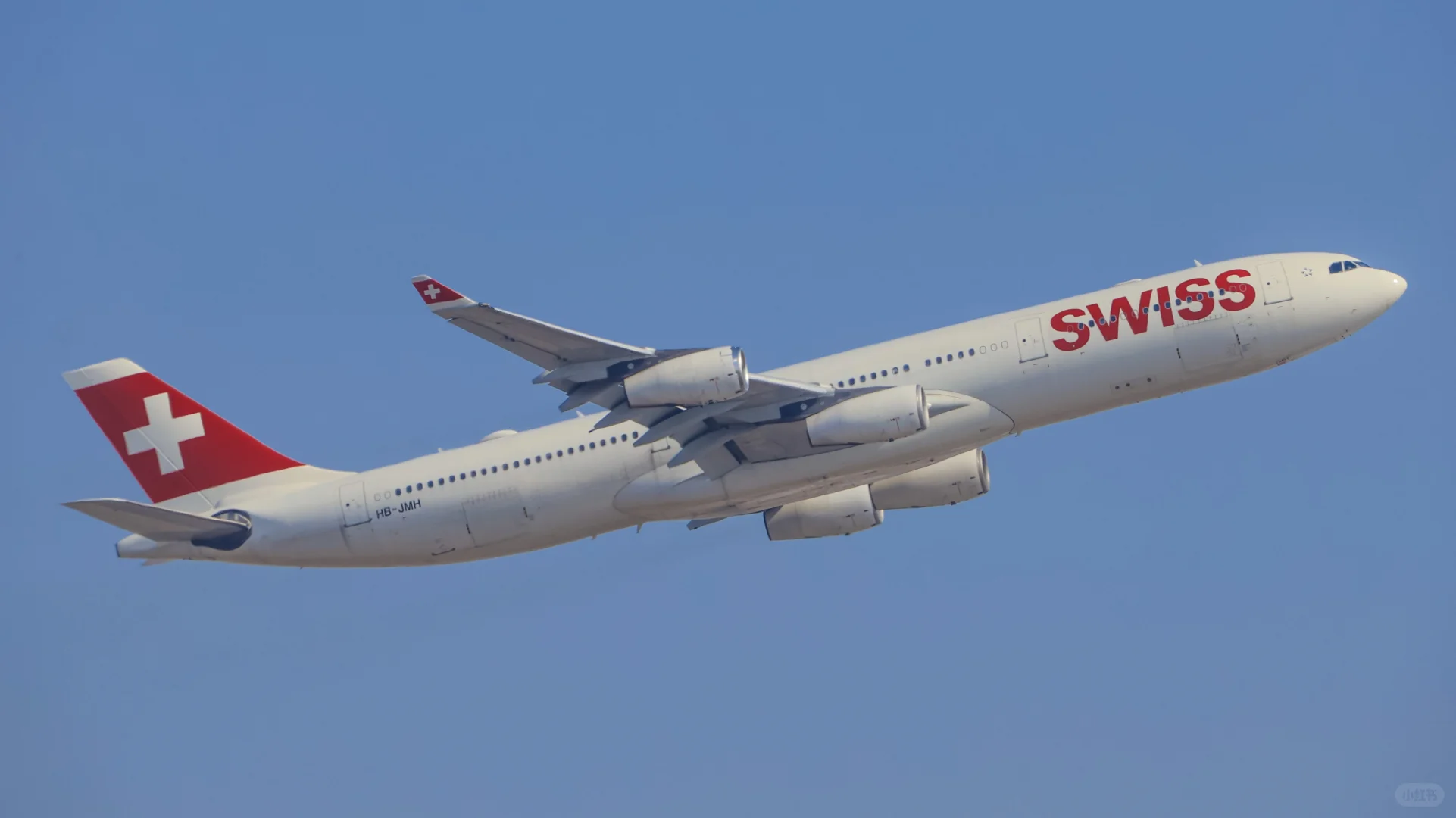 拍拉起给我拍爽了