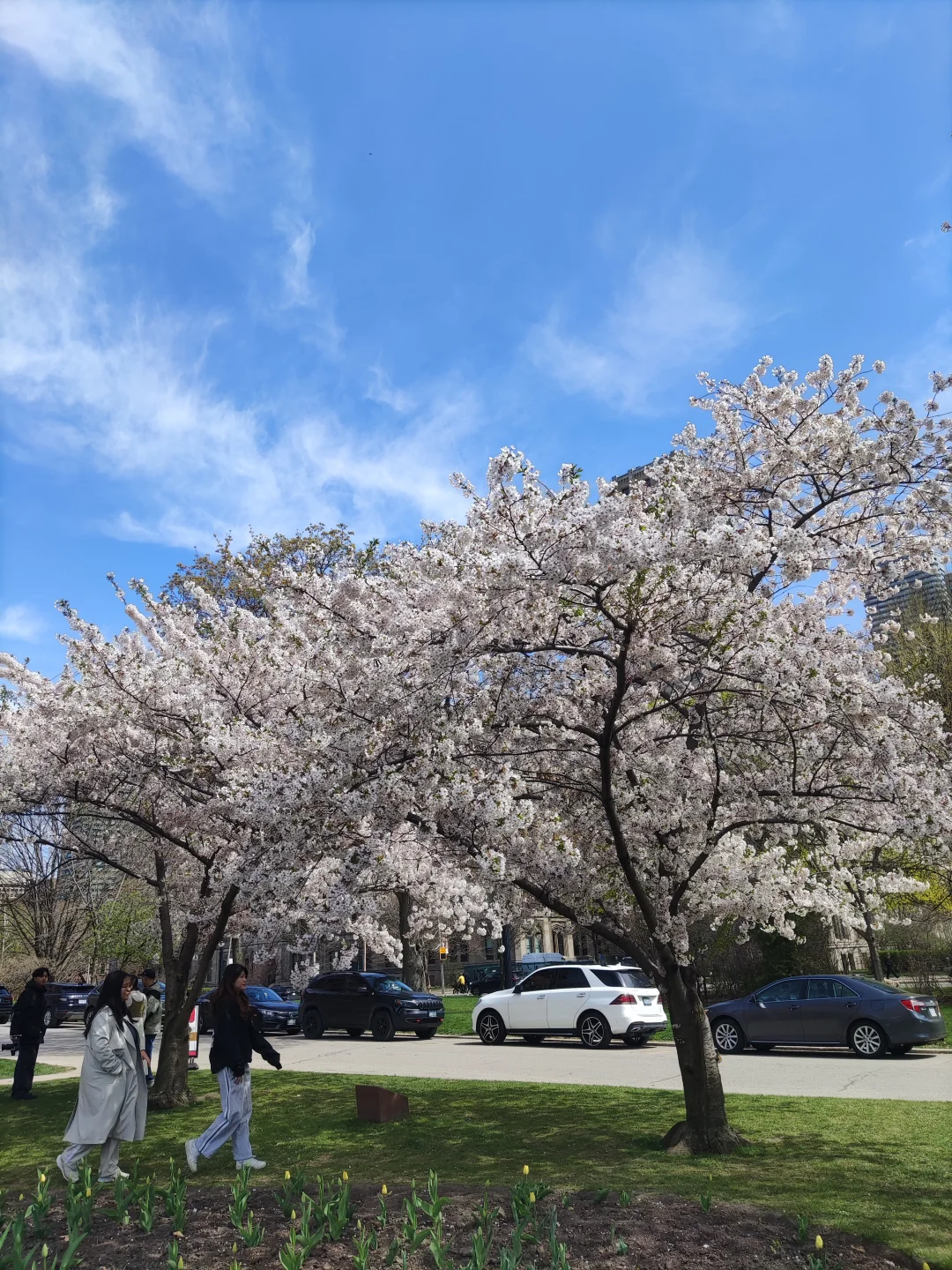 重启展会之旅！加拿大国际食品展收获颇多！