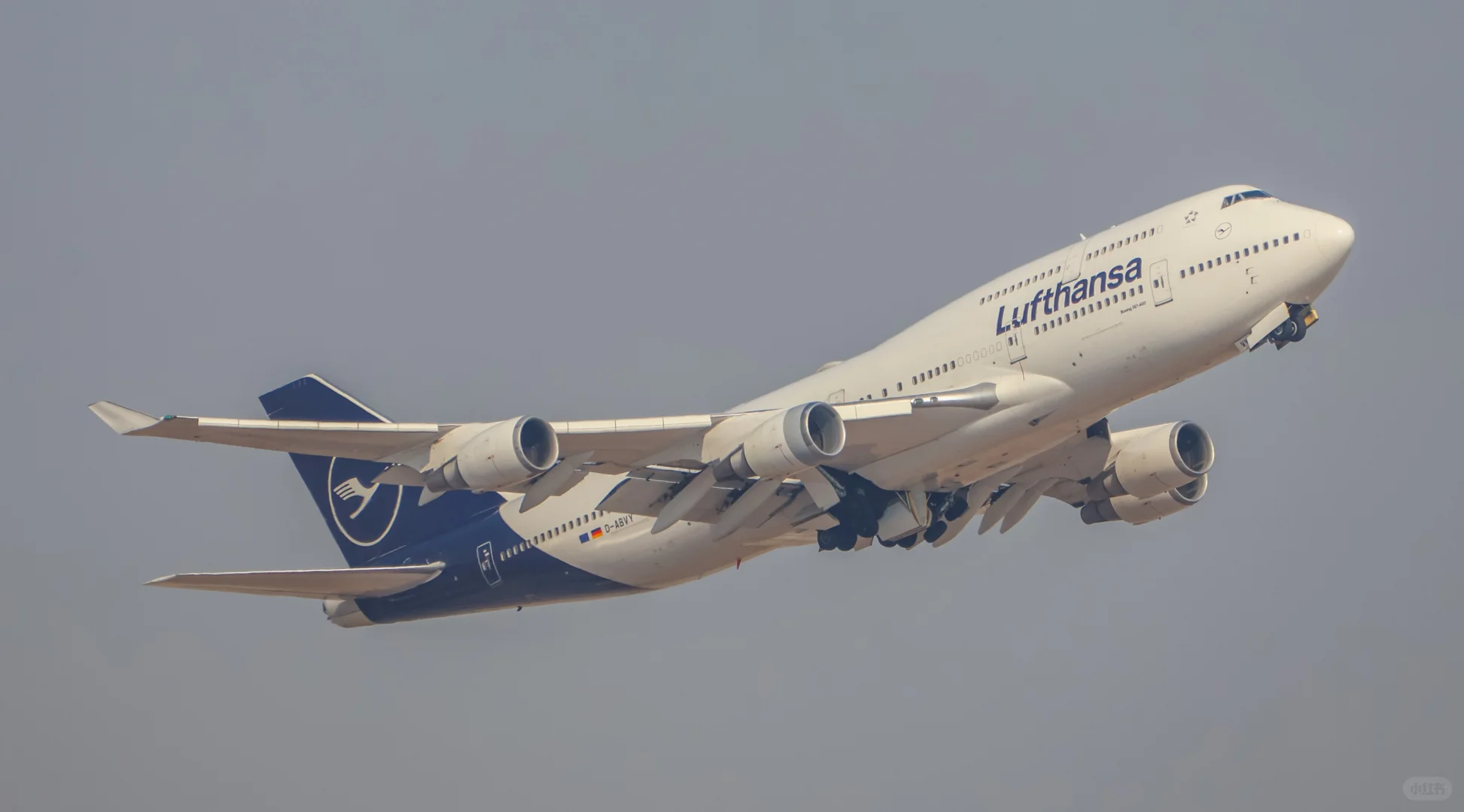 拍拉起给我拍爽了