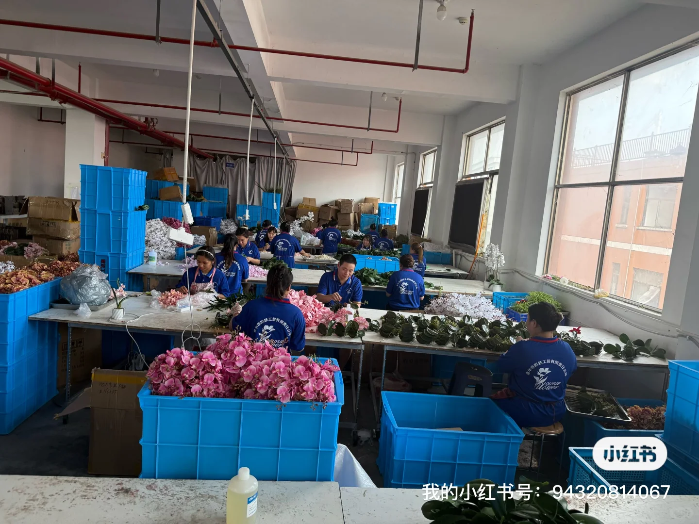 电子厂仿真花合体设计制造生产线！实体工厂