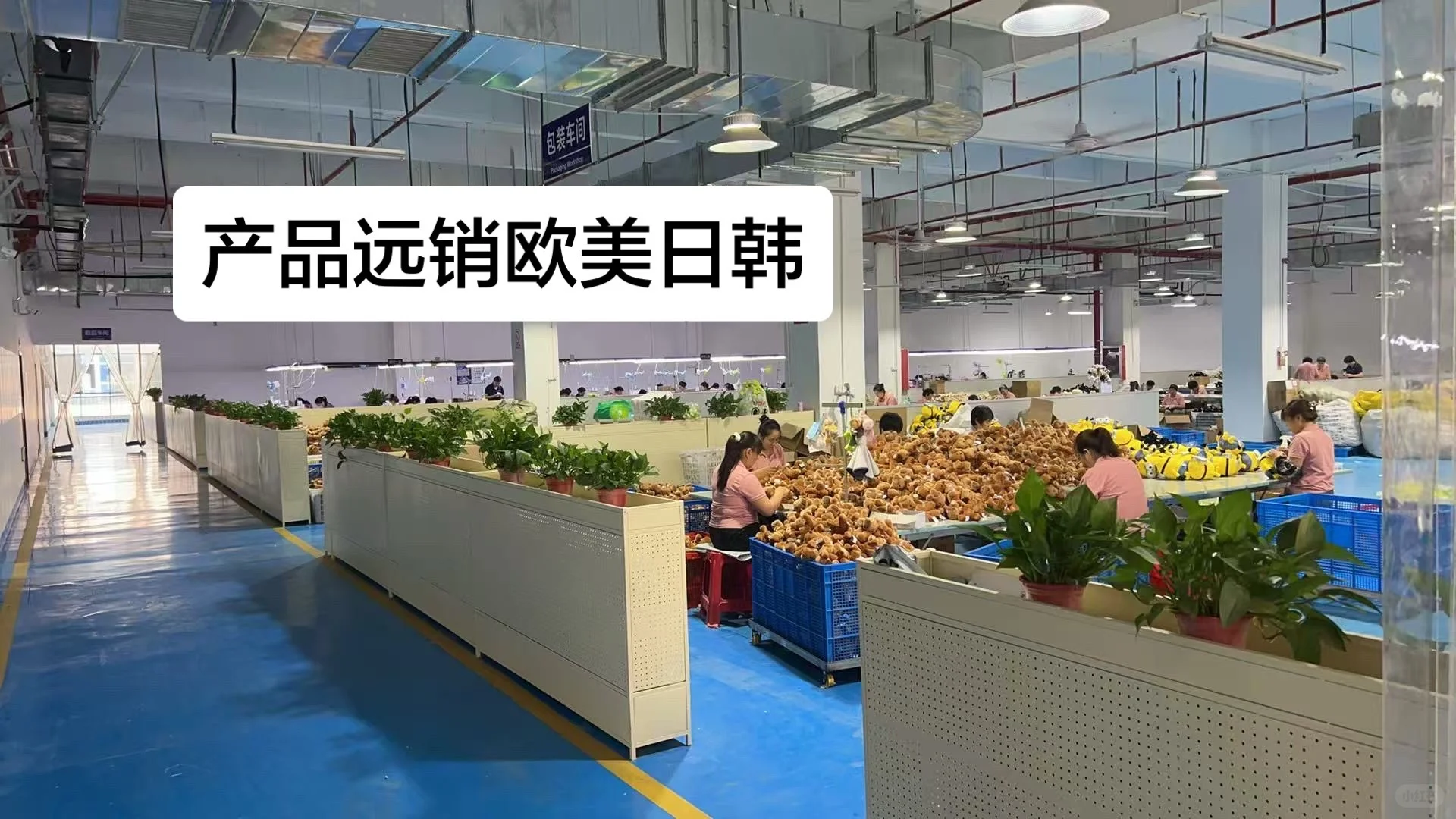 毛绒玩具工厂实拍