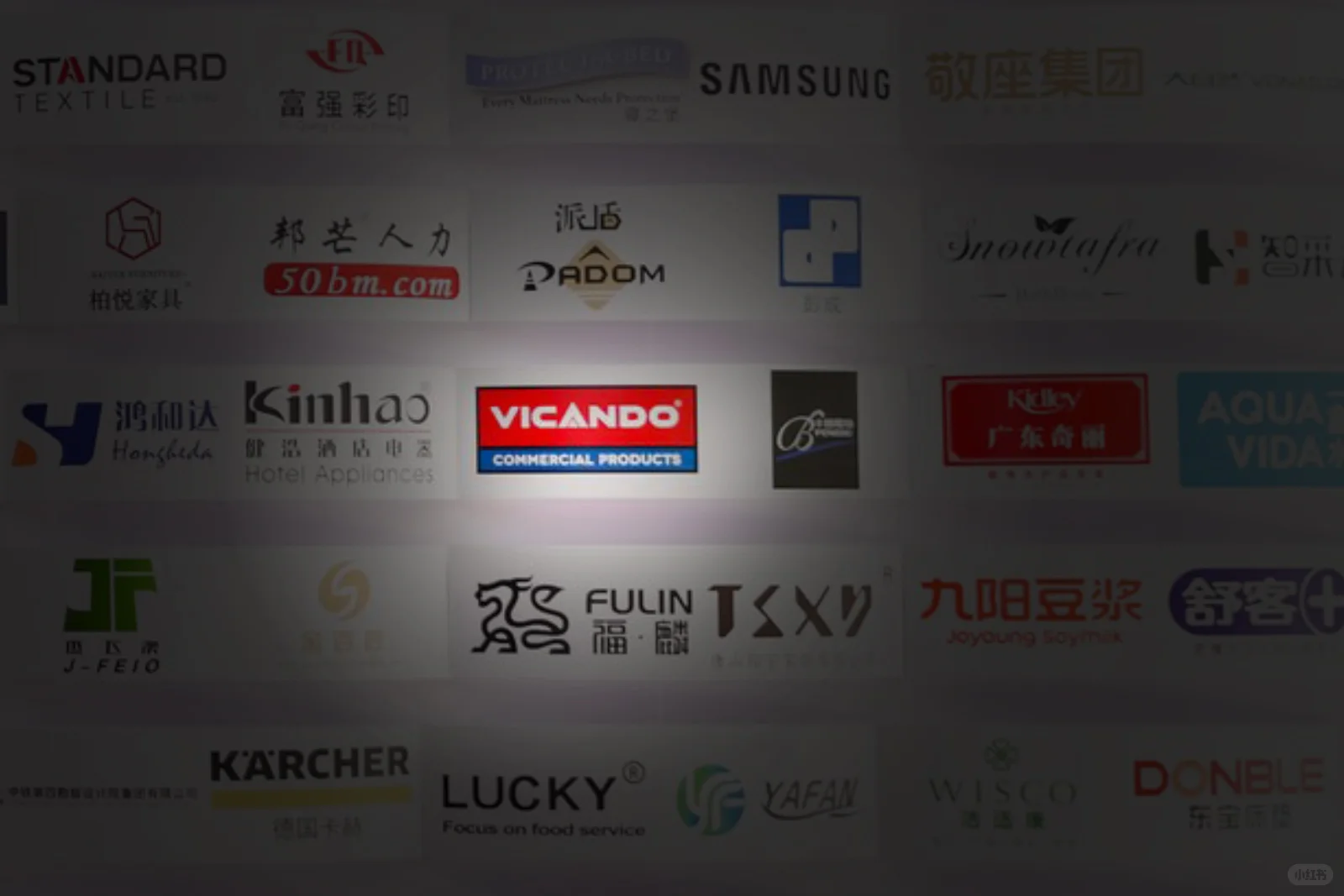 Vicando闪耀苏州 荣获年度卓越潜力品牌