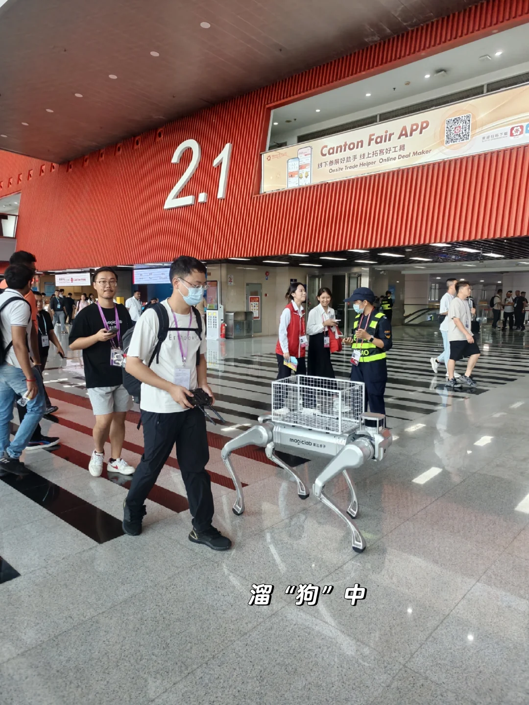 第138届广交会～叮?
