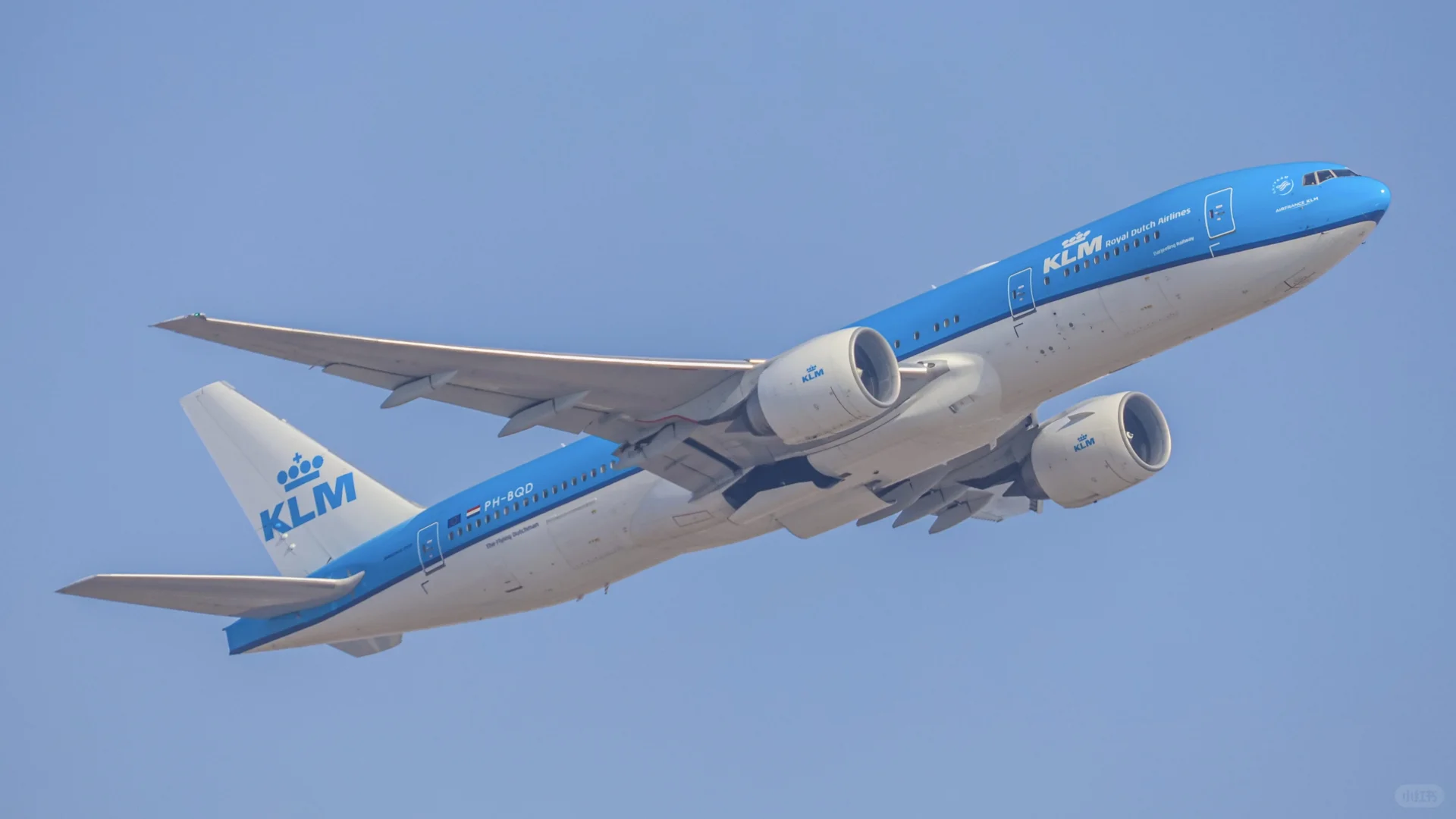 拍拉起给我拍爽了