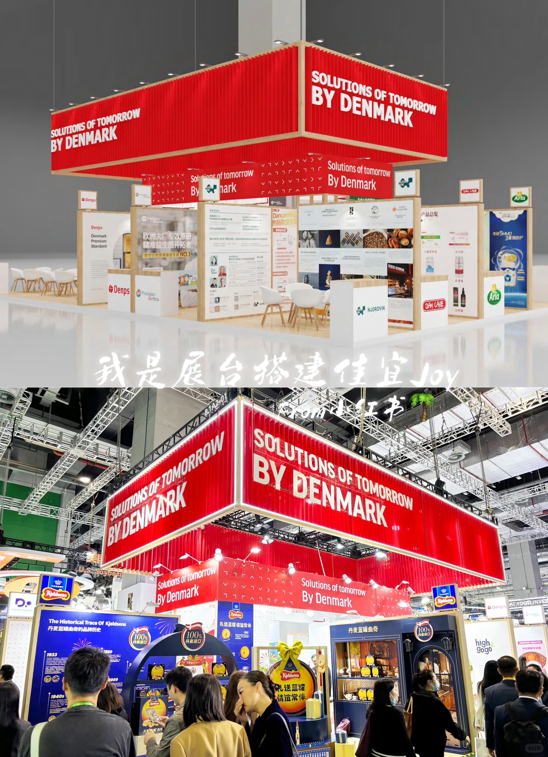 中国进口博览会｜Denmark案例