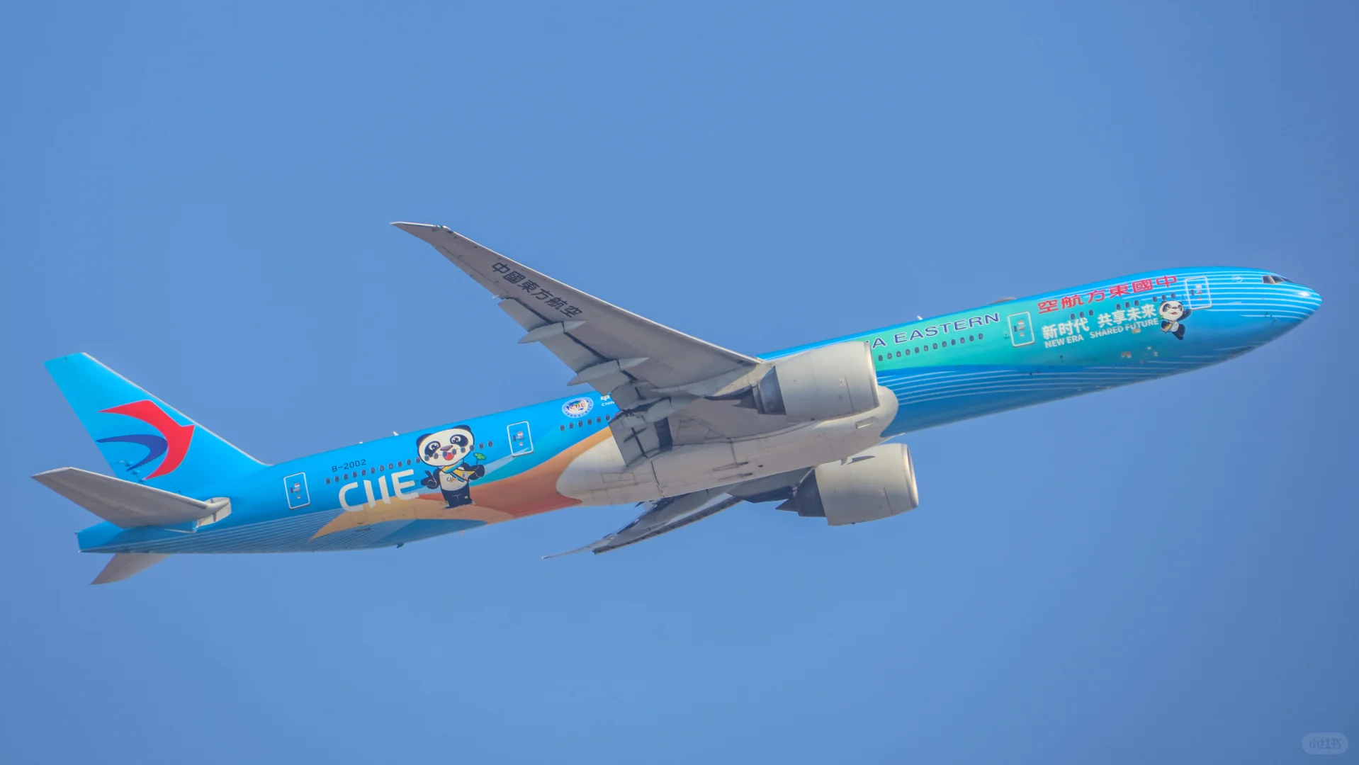 拍拉起给我拍爽了