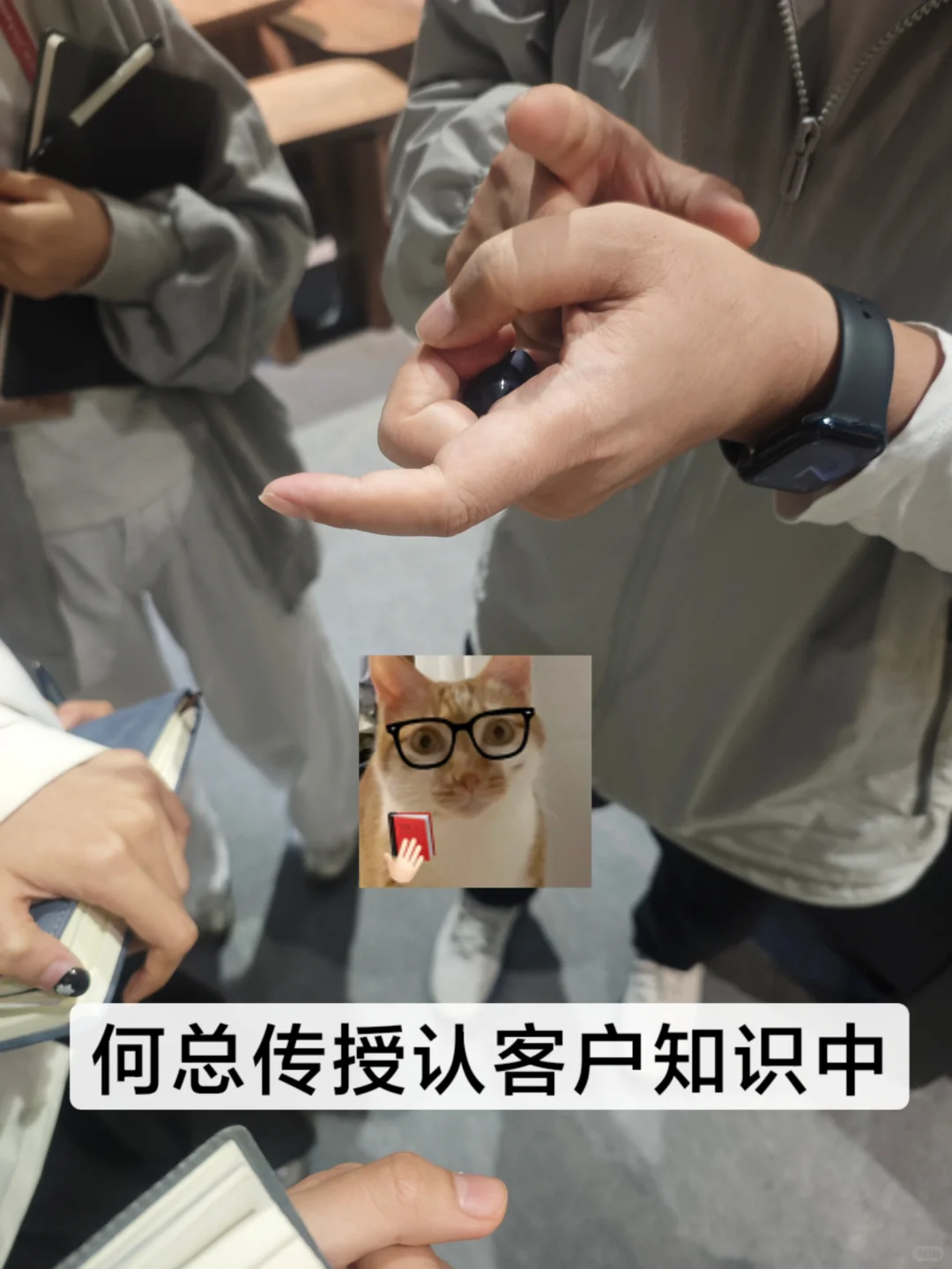 女大学生做翻译真的会上瘾！！