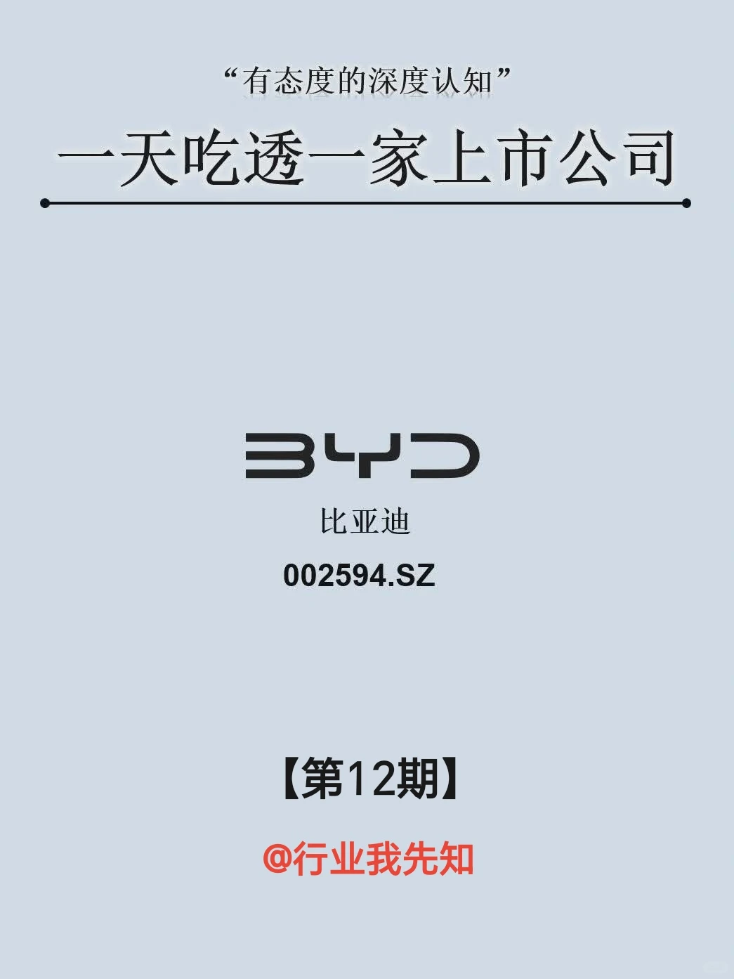 一天吃透一家上市公司：NO.12 比亚迪