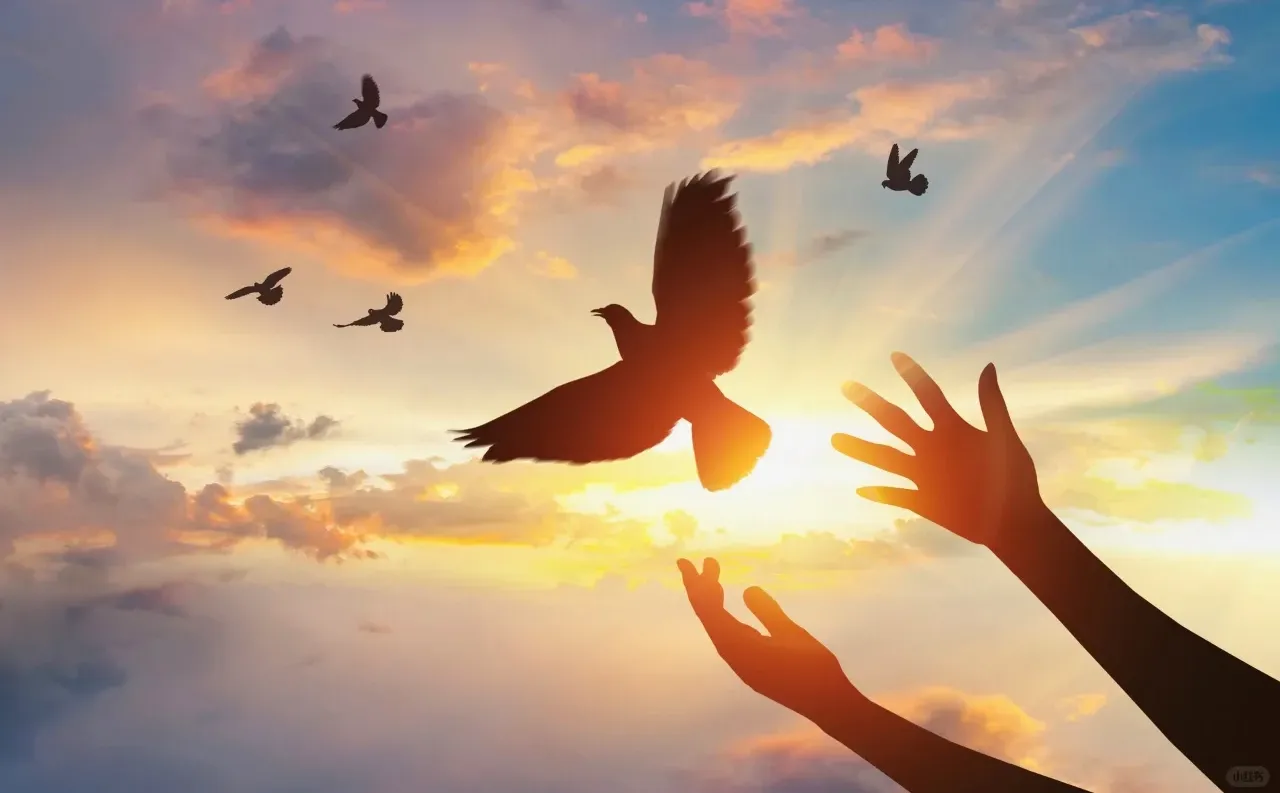 企业上市经历的阶段