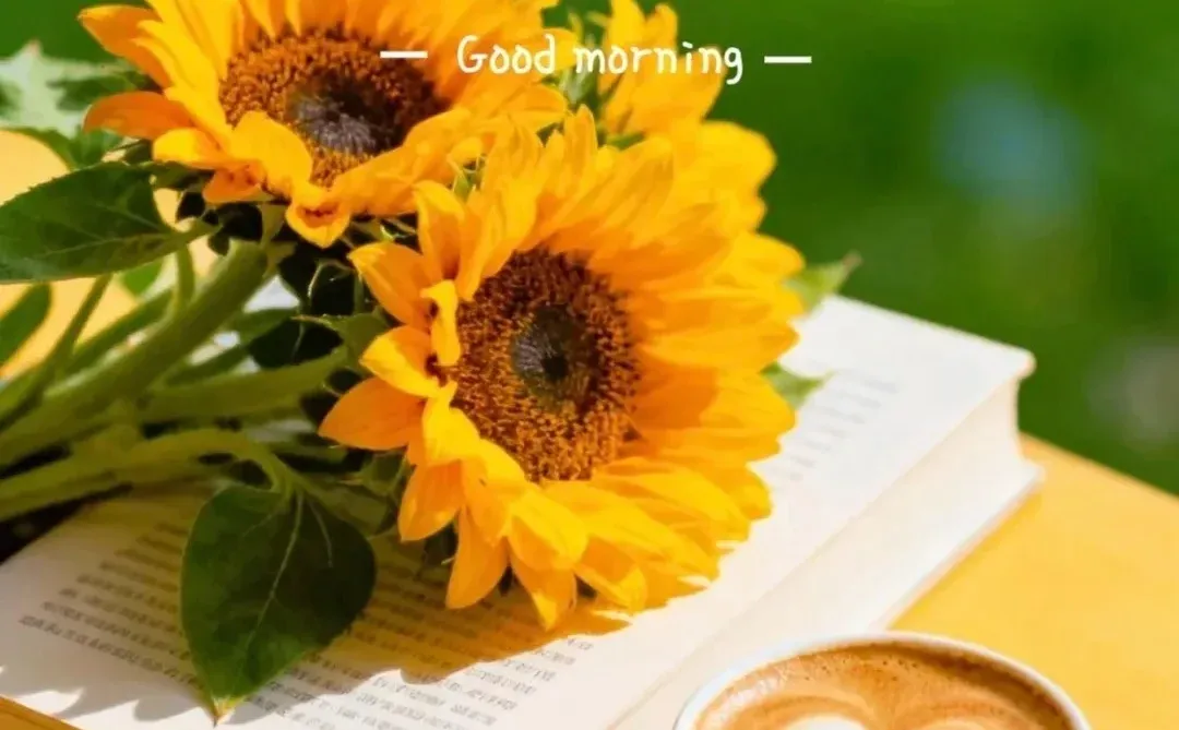 中国外贸市场分析